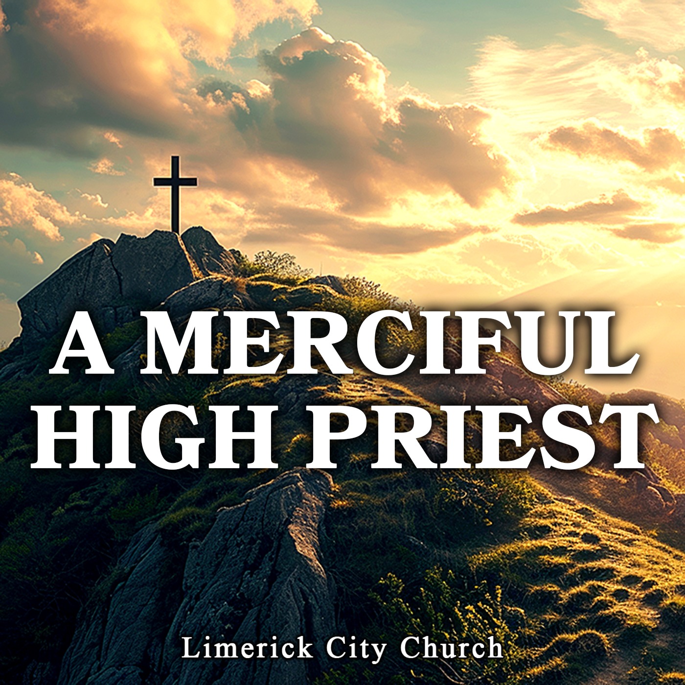 Limerick City Church