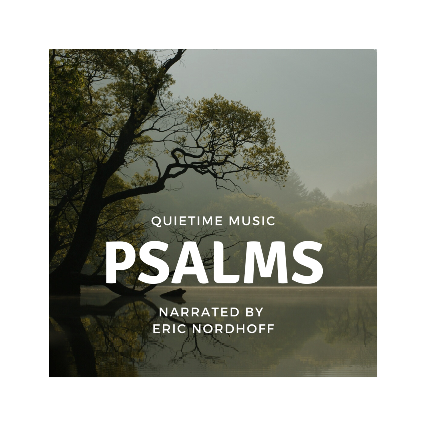 Introduction to the Psalms episode artwork
