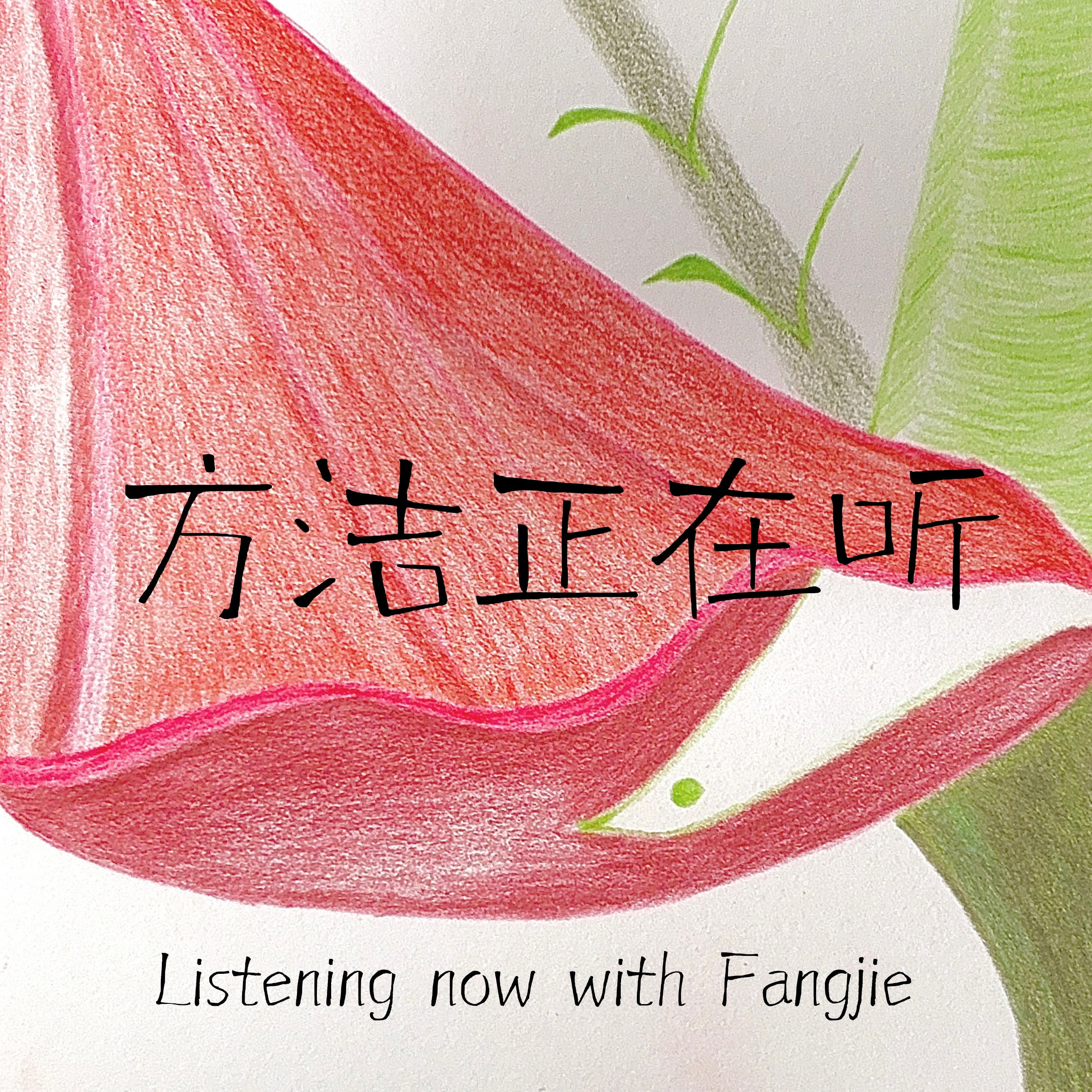 方洁正在听