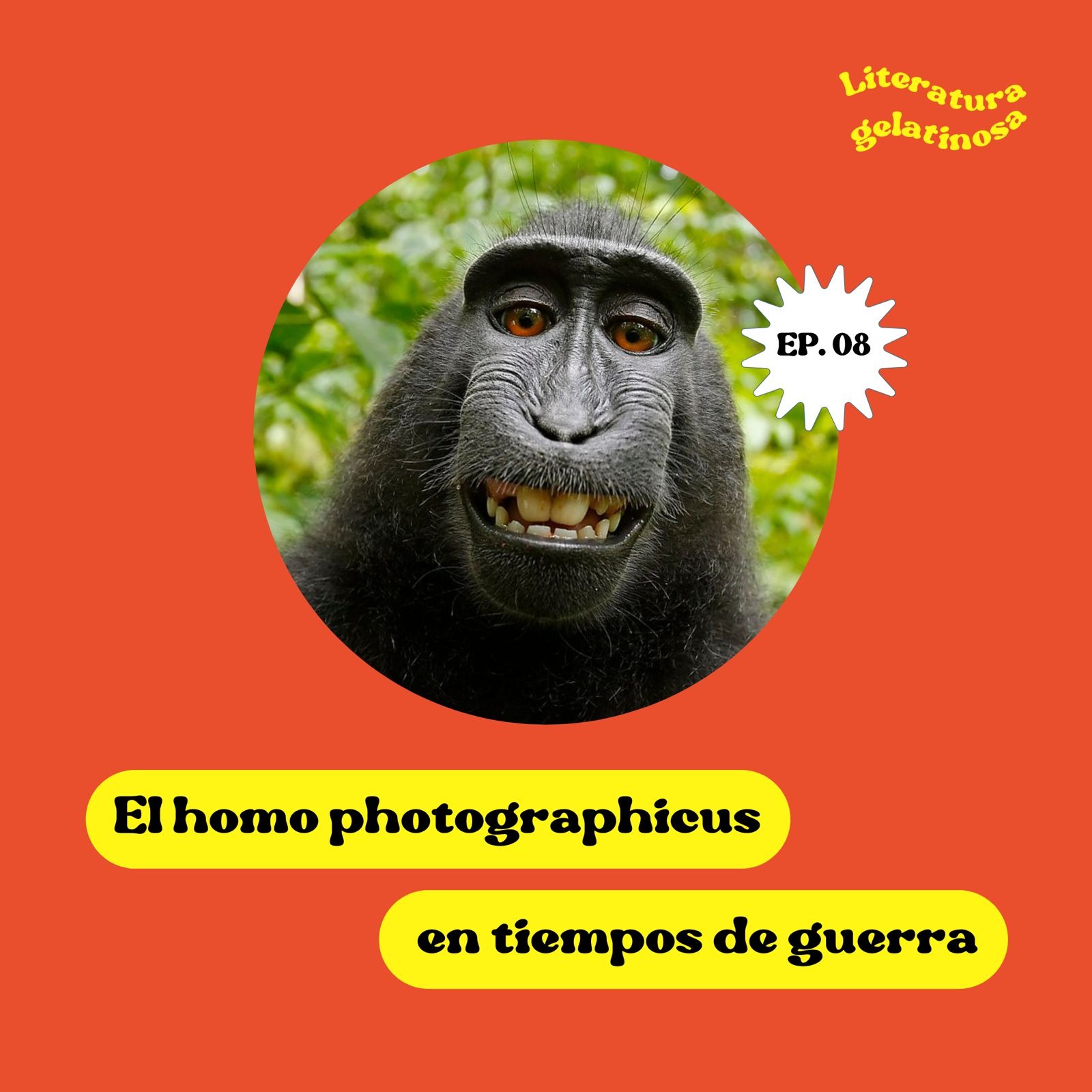 Literatura gelatinosa