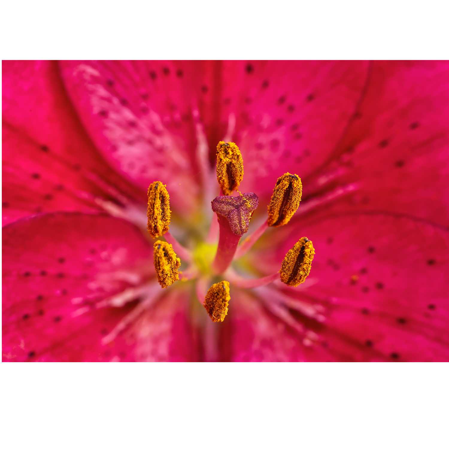 Three Balls Two Strikes and bases loaded