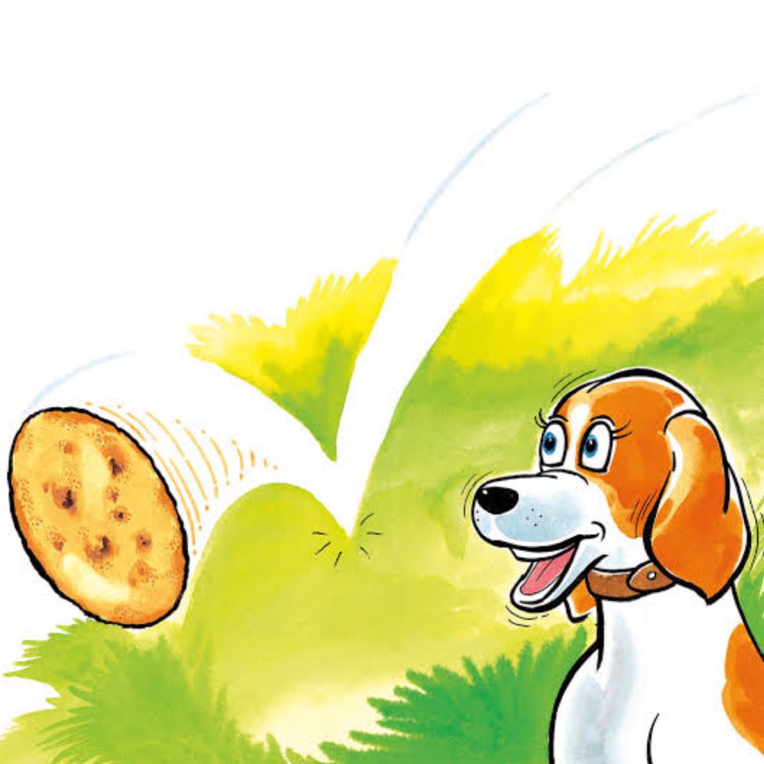 The Roti Roll 🫓 The Roti Roll 🫓