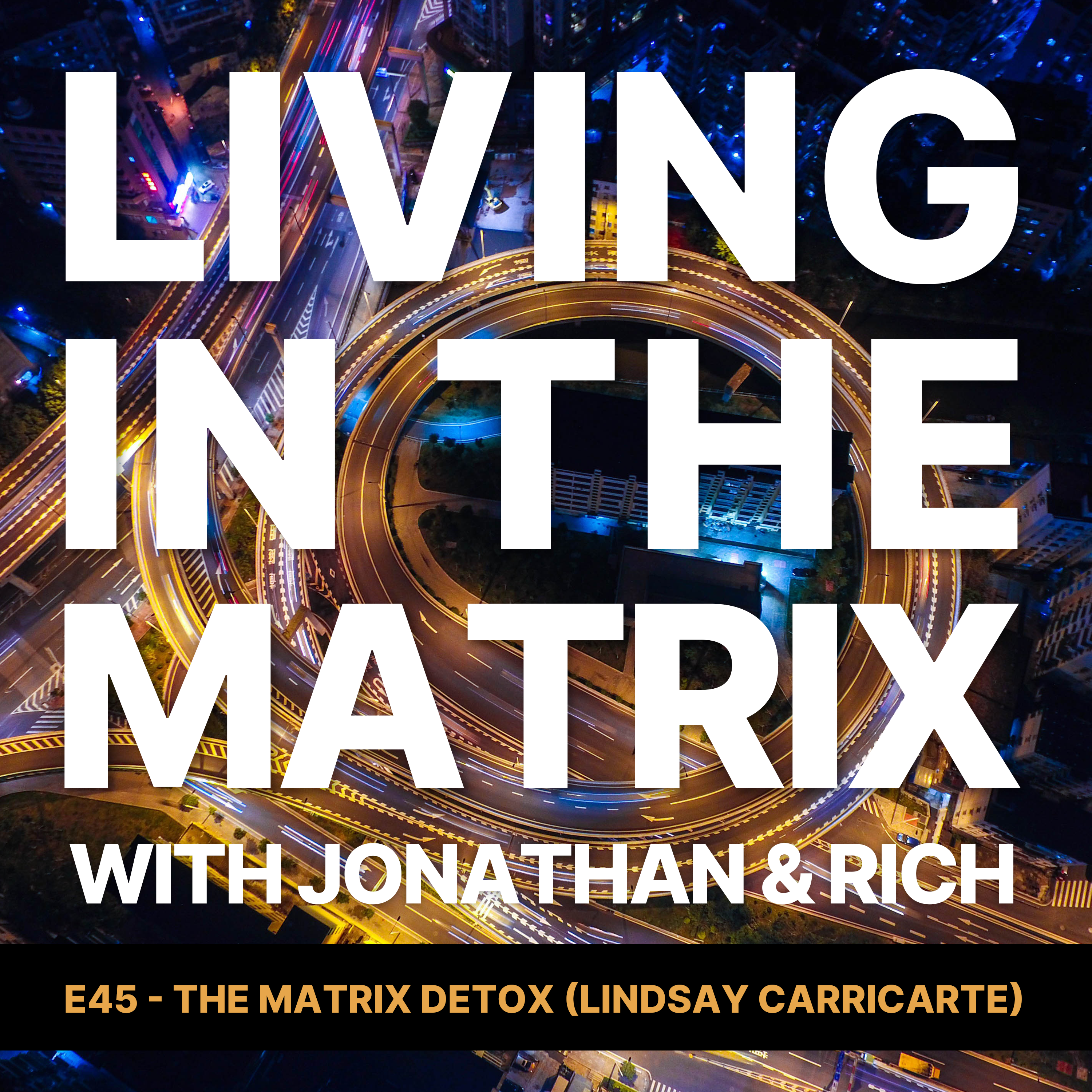 E45 - The Matrix Detox (LIndsay Carricarte)