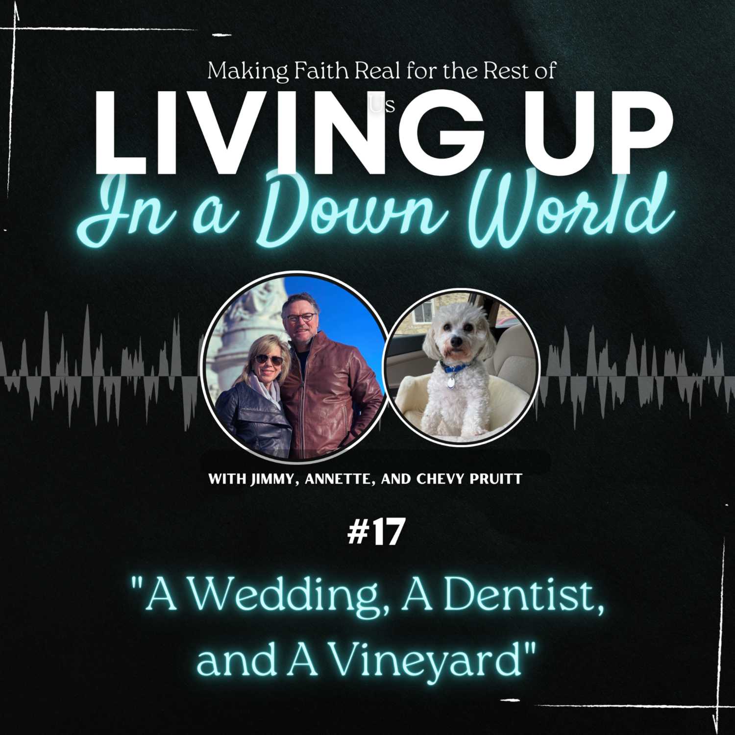 "A Wedding, A Dentist, and A Vineyard"