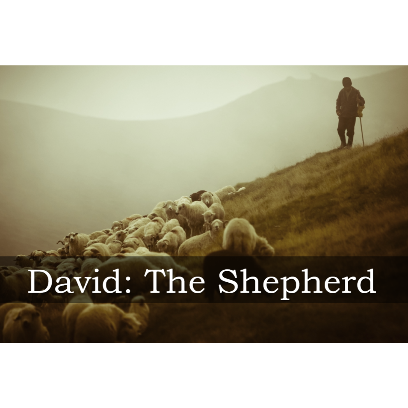 Heroes of The Faith: David The Shepherd episode artwork