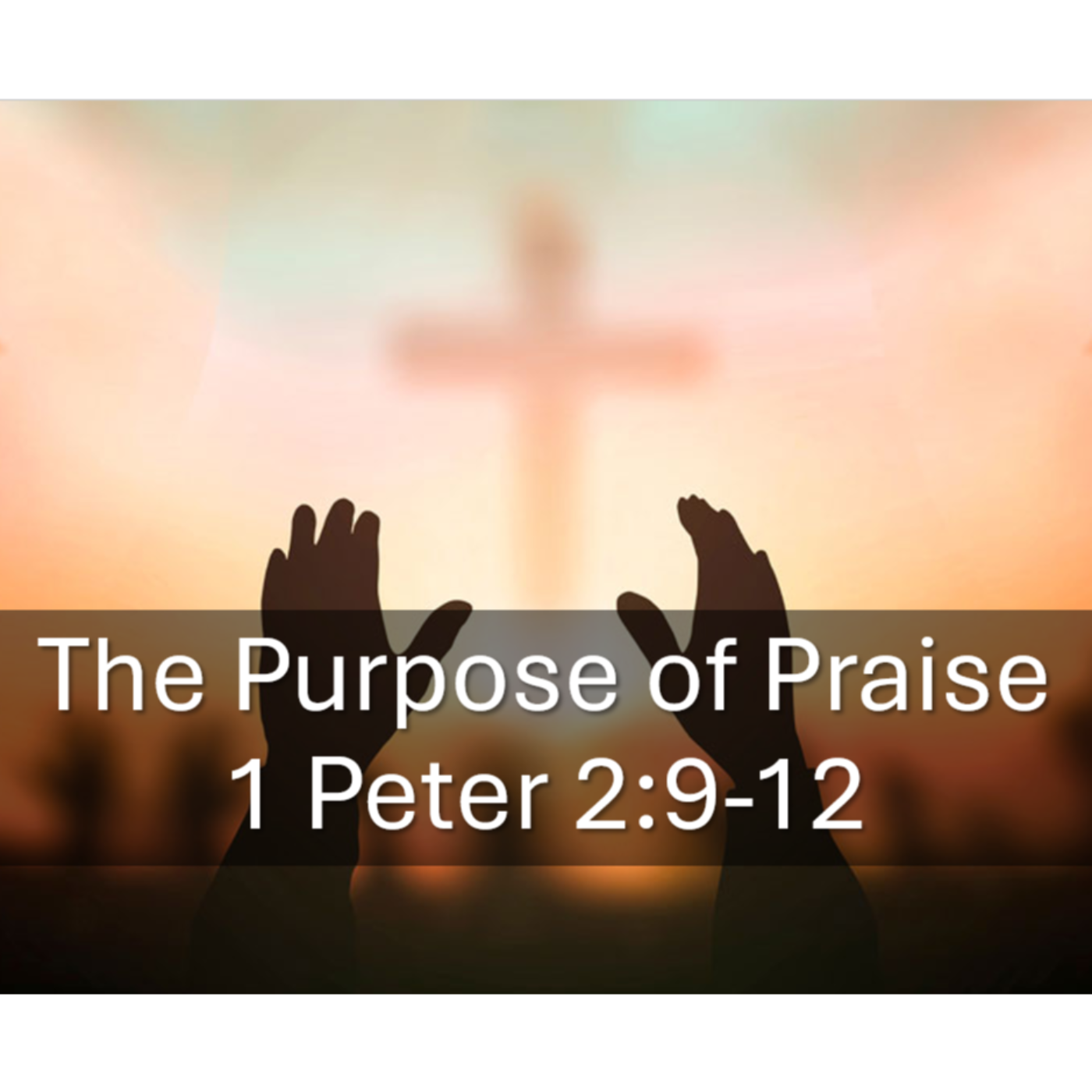 The Purpose of Praise 1 Peter 2:9-12 episode artwork