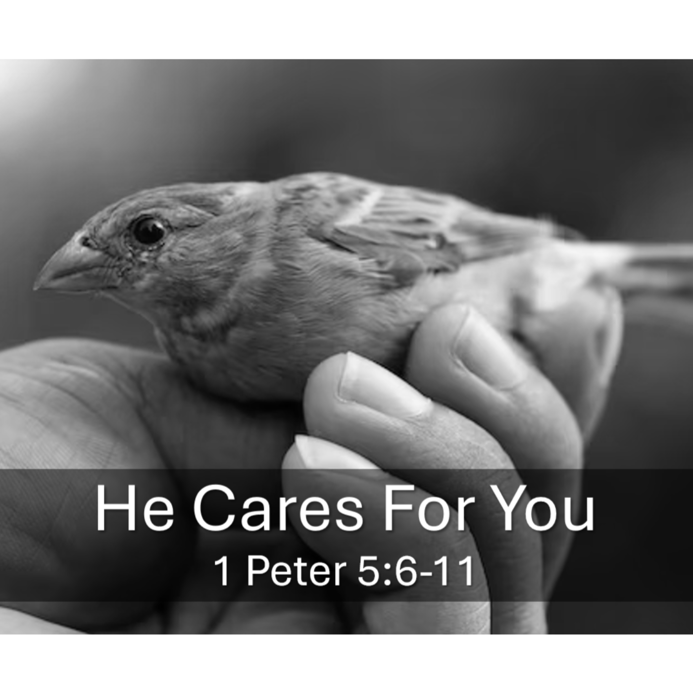 He Cares For You 1 Peter 5:6-11 episode artwork