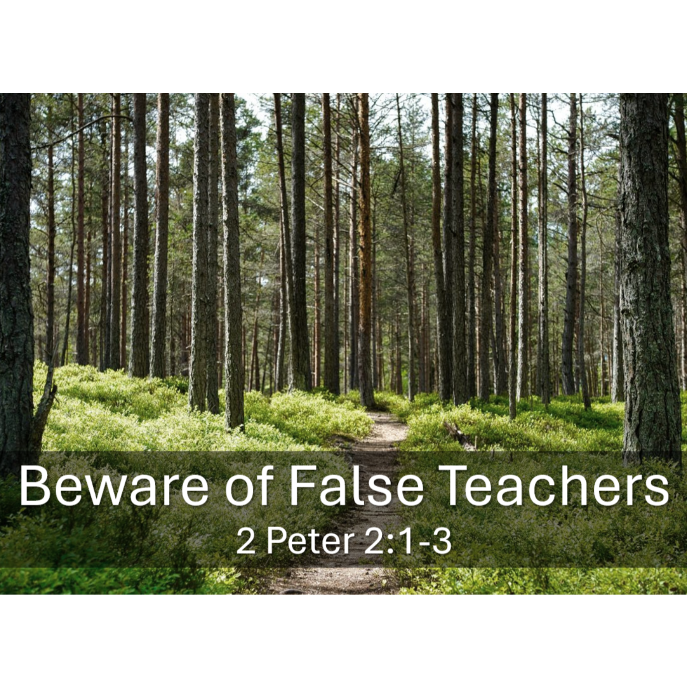 Beware of False Teachers 2 Peter 2:1-3 episode artwork