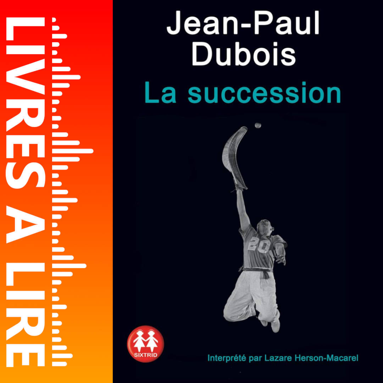 La Succession de Jean-Paul DUBOIS - Livres à lire - Résumé et analyse episode artwork