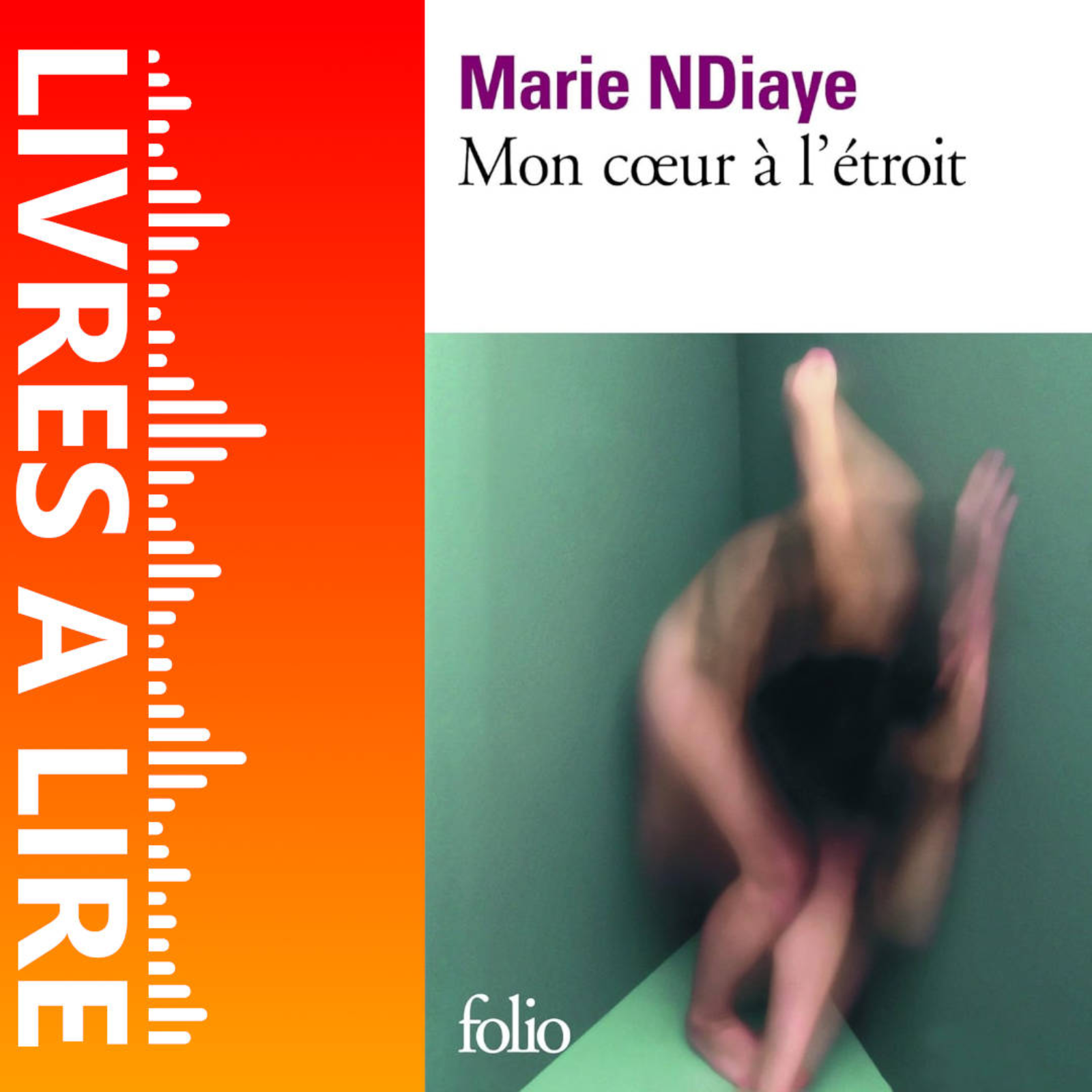 Mon cœur à l’étroit de Marie NDIAYE - Livres à lire - Résumé et analyse episode artwork