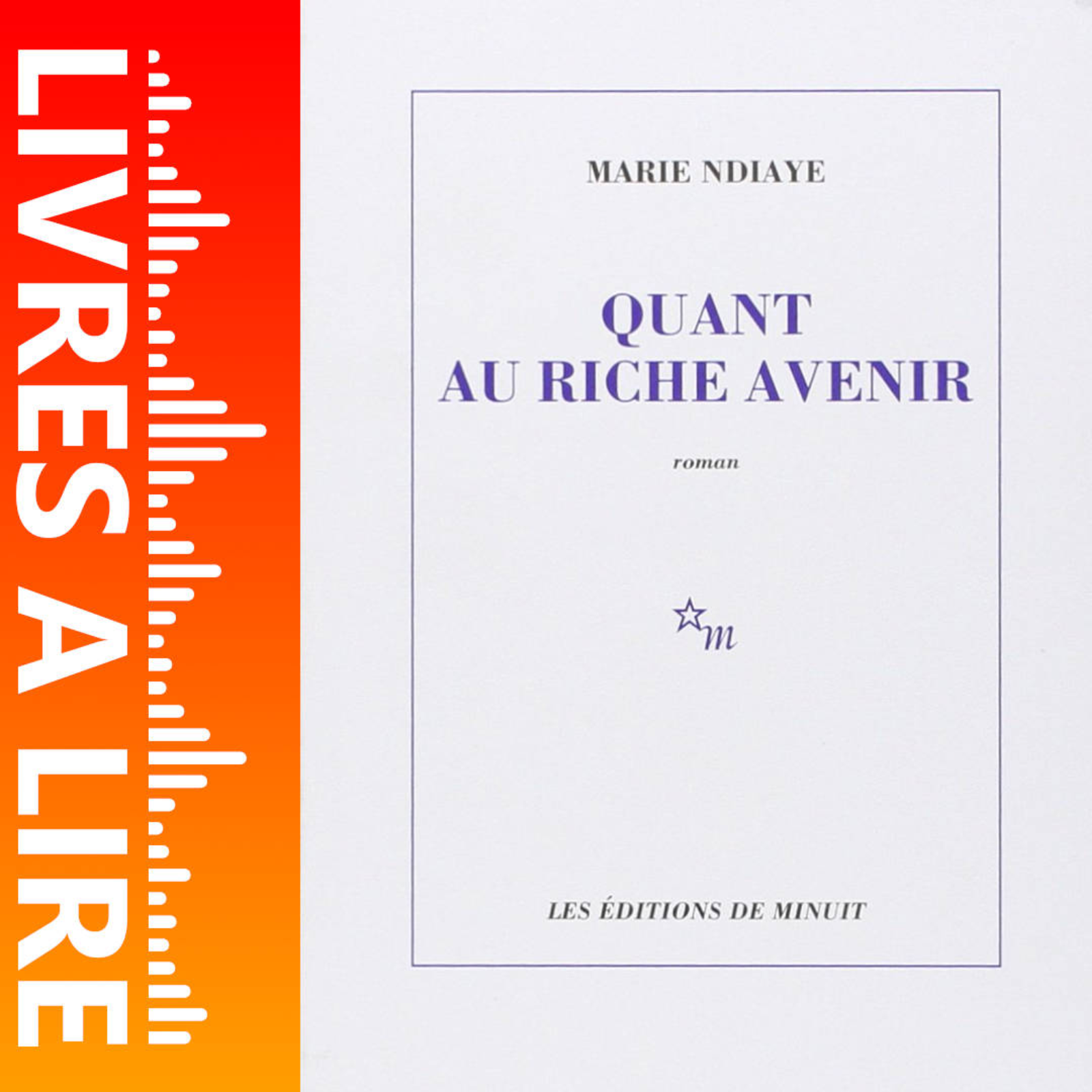 Quant au riche avenir de Marie NDIAYE - Livres à lire - Résumé et analyse episode artwork