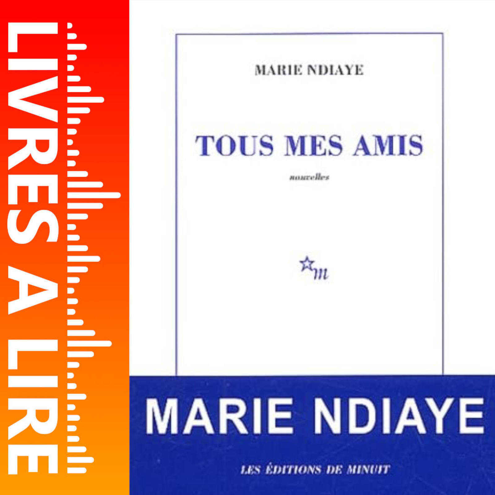 Tous mes amis de Marie NDIAYE - Livres à lire - Résumé et analyse episode artwork