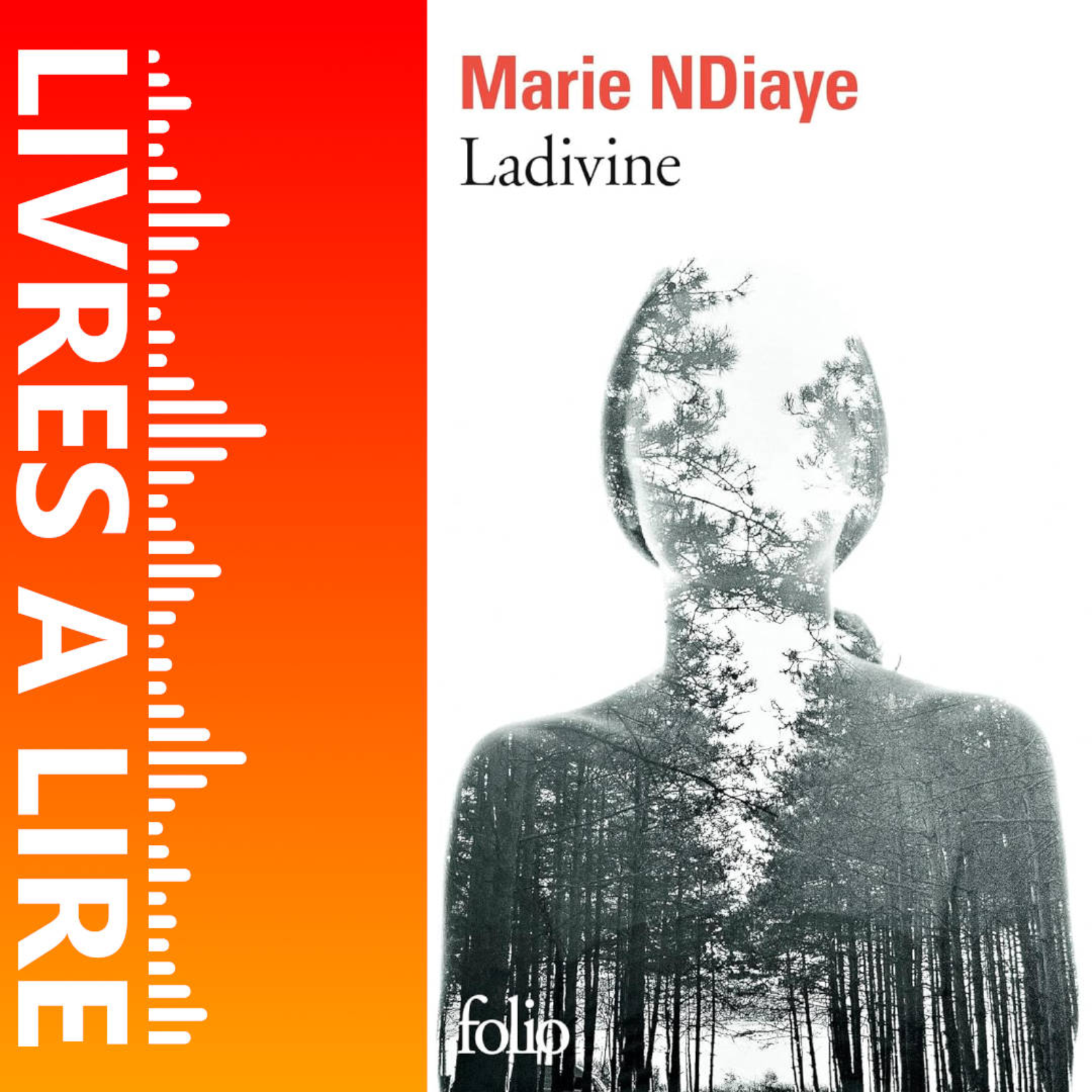 Ladivine de Marie NDIAYE - Livres à lire - Résumé et analyse episode artwork