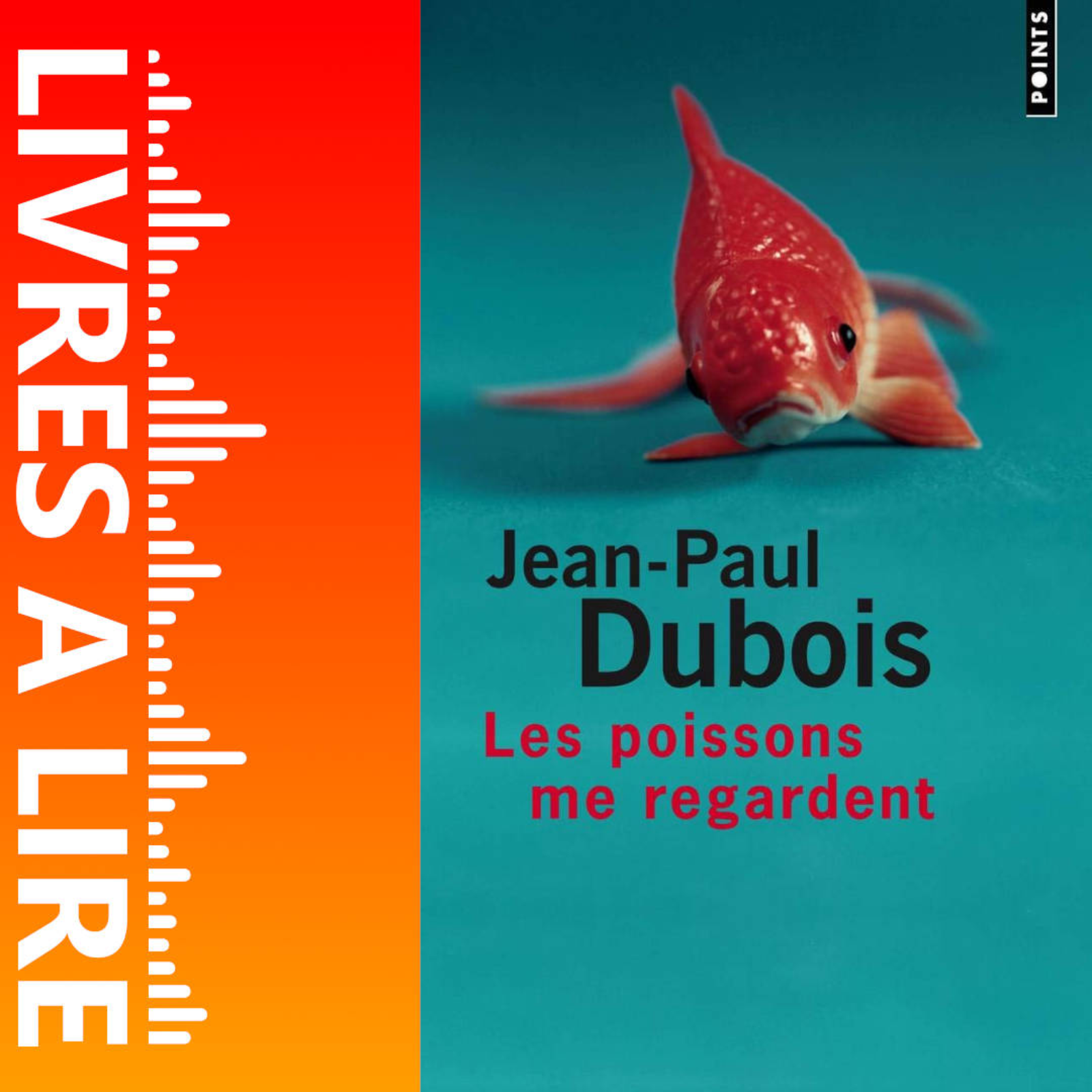 Les Poissons me regardent de Jean-Paul DUBOIS - Livres à lire - Résumé et analyse episode artwork
