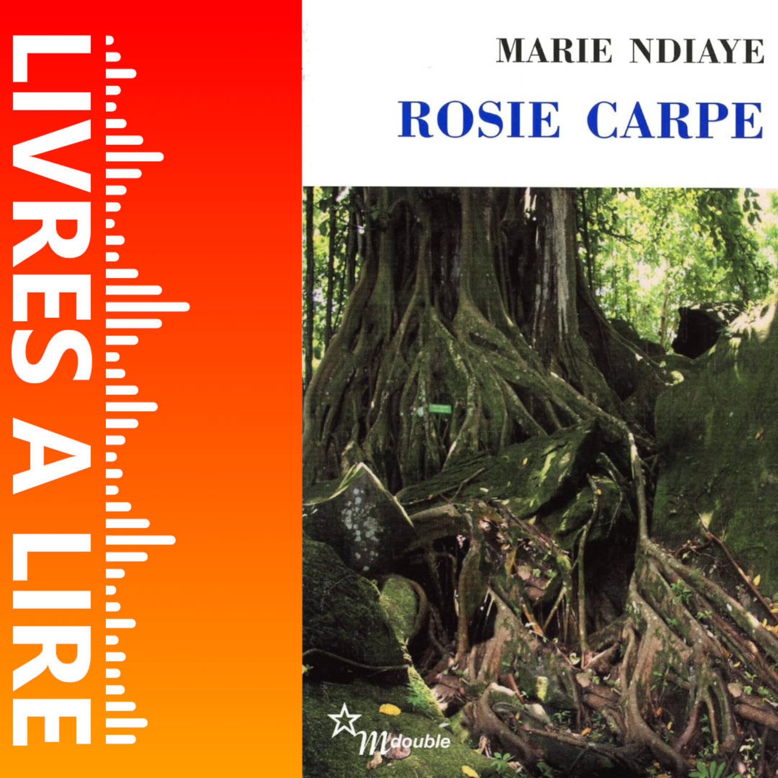 Rosie Carpe de Marie NDIAYE - Livres à lire - Résumé et analyse episode artwork