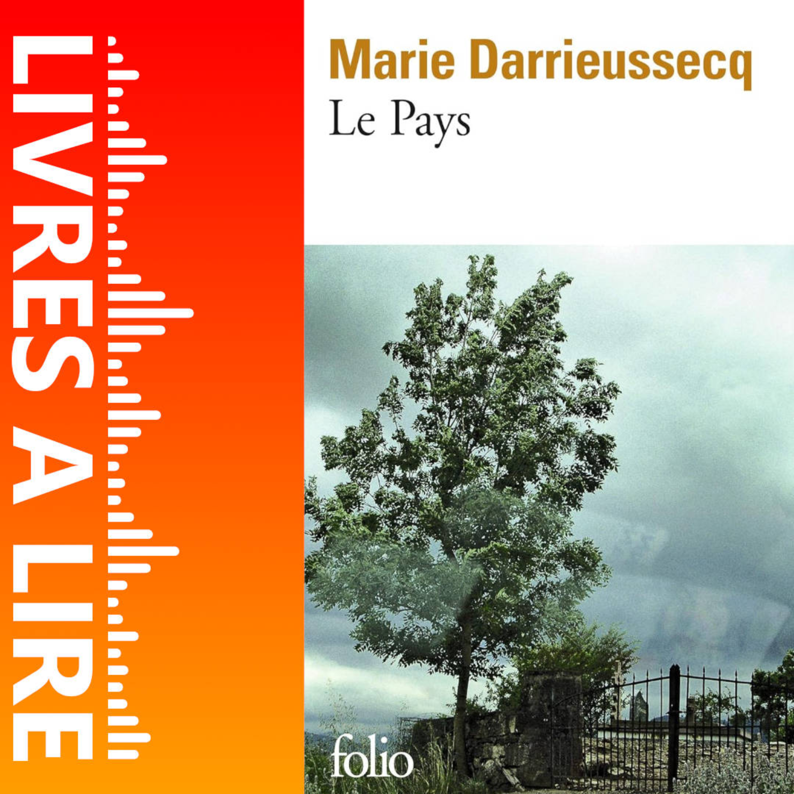 Le Pays de Marie DARRIEUSSECQ - Livres à lire - Résumé et analyse episode artwork