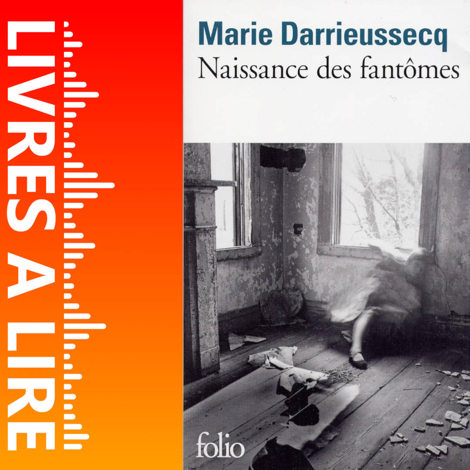 Naissance des fantômes de Marie DARRIEUSSECQ - Livres à lire - Résumé et analyse episode artwork
