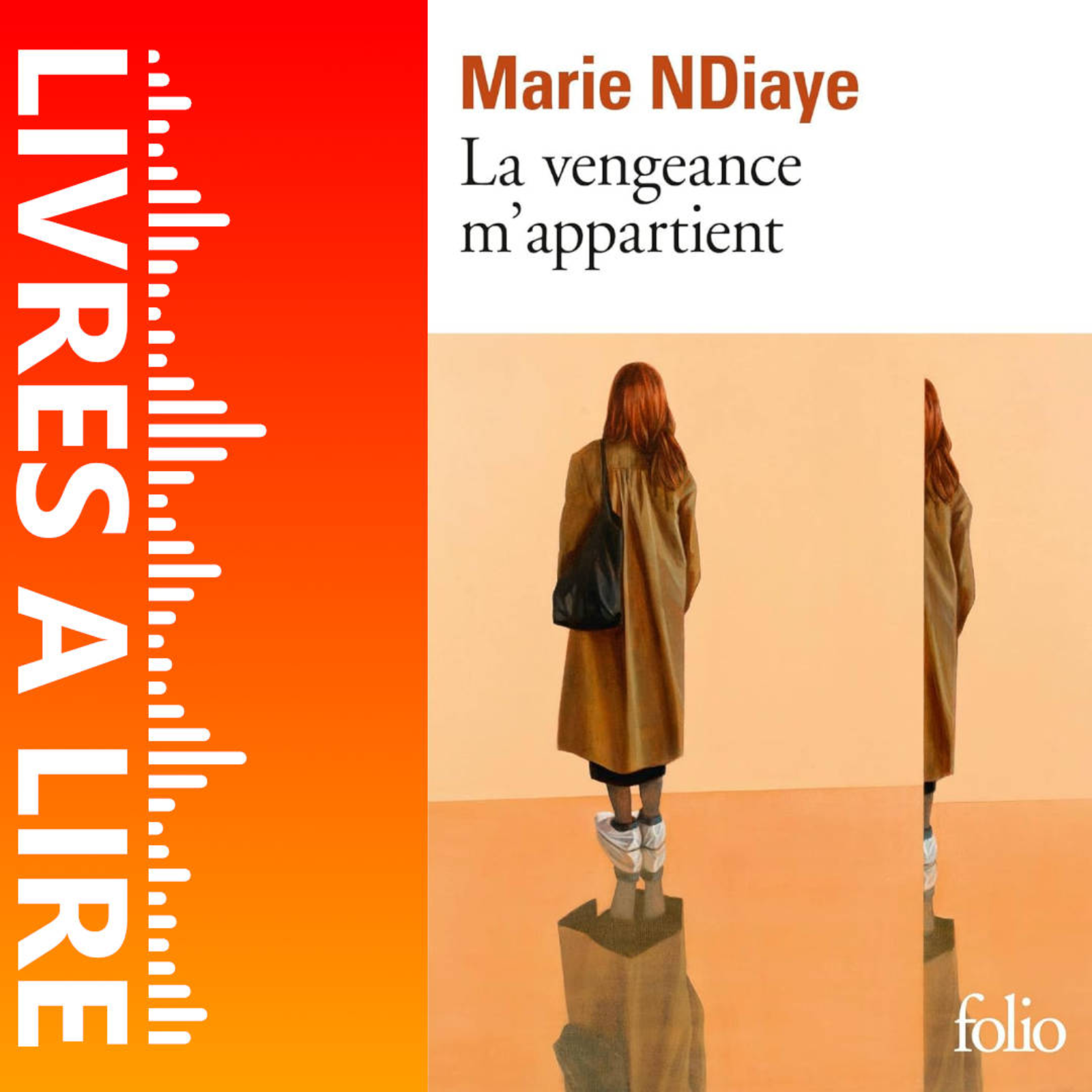 La Vengeance m’appartient de Marie NDIAYE - Livres à lire - Résumé et analyse episode artwork