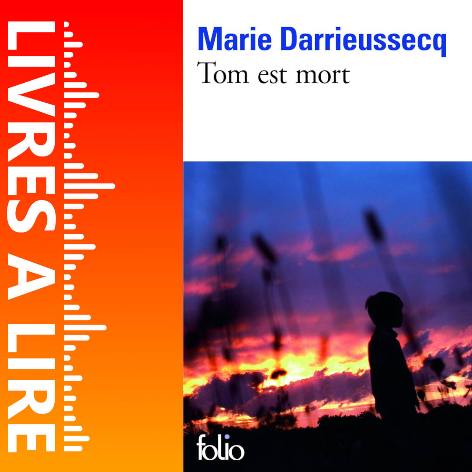 Tom est mort de Marie DARRIEUSSECQ - Livres à lire - Résumé et analyse episode artwork