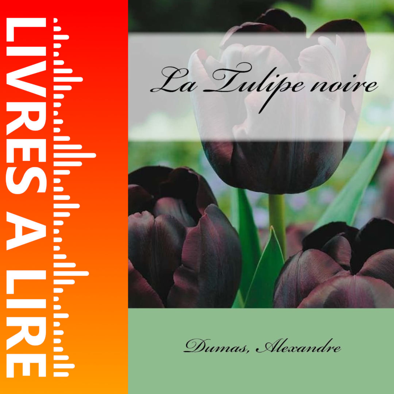 La Tulipe noire de Alexandre Dumas - Livres à lire - Résumé et analyse episode artwork