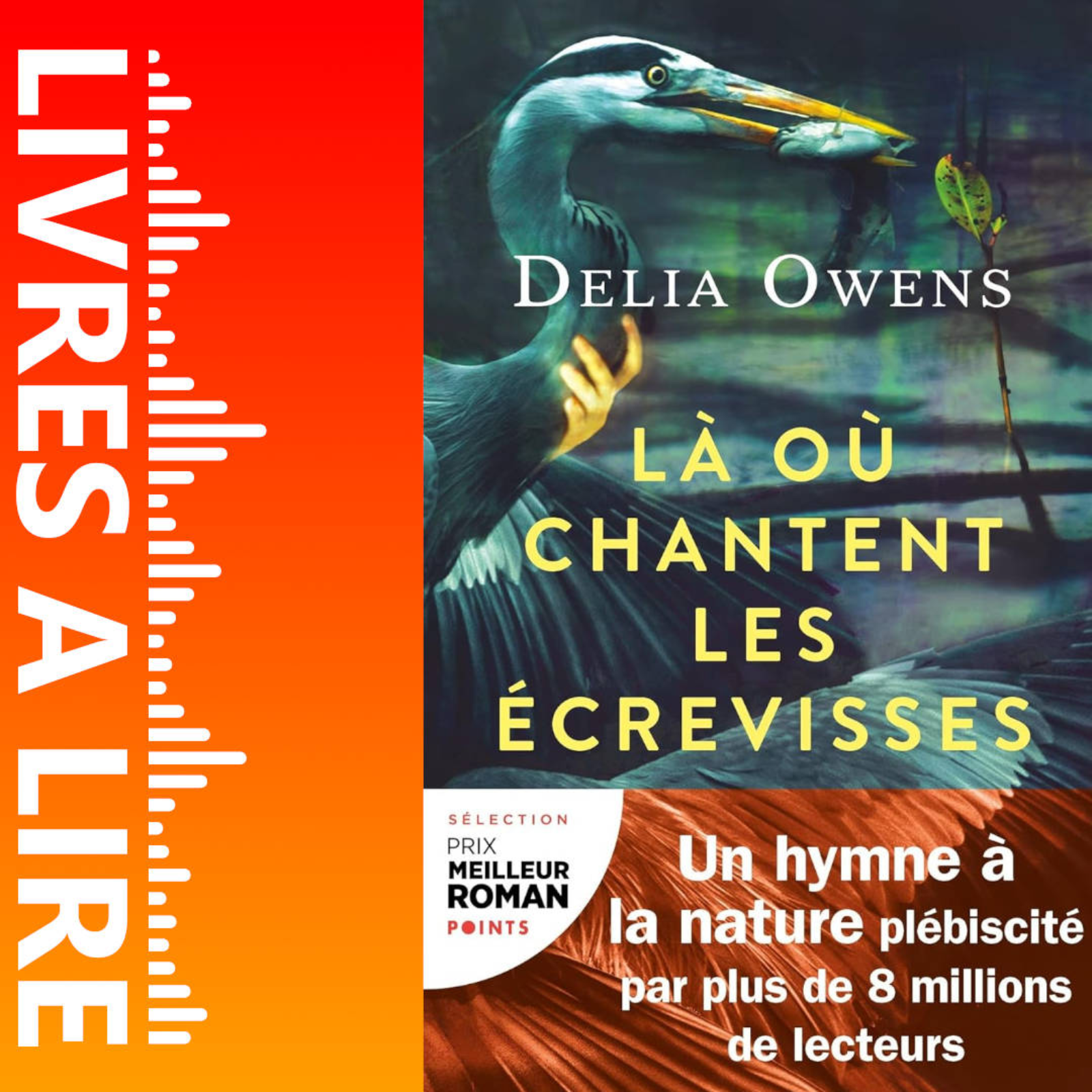 Là où chantent les écrevisses de Delia Owens - Livre - Résumé et analyse episode artwork