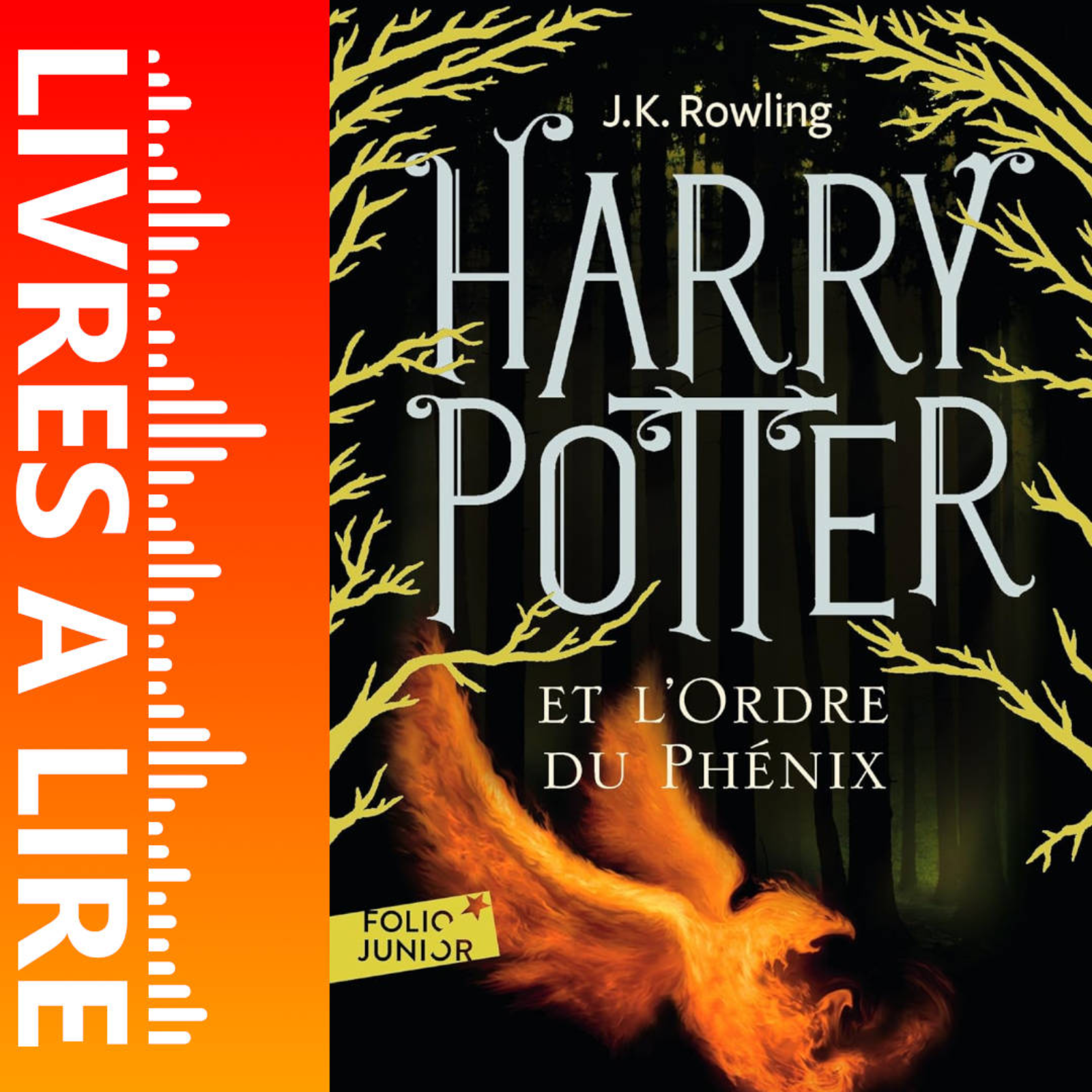 Harry Potter et l'Ordre du Phénix (Tome 5) de J.K. Rowling - Livre - Résumé et analyse episode artwork