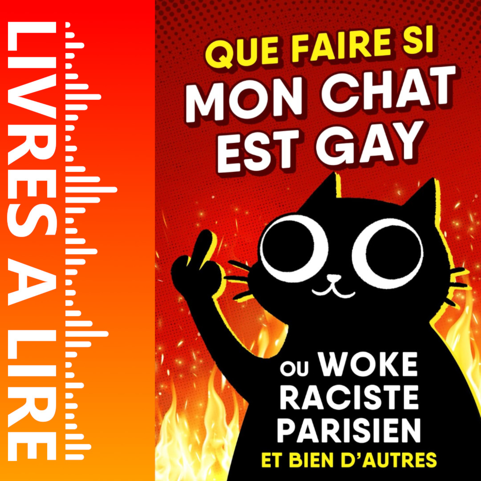 QUE FAIRE SI MON CHAT EST GAY de Léo Talano - Livre - Résumé et analyse episode artwork