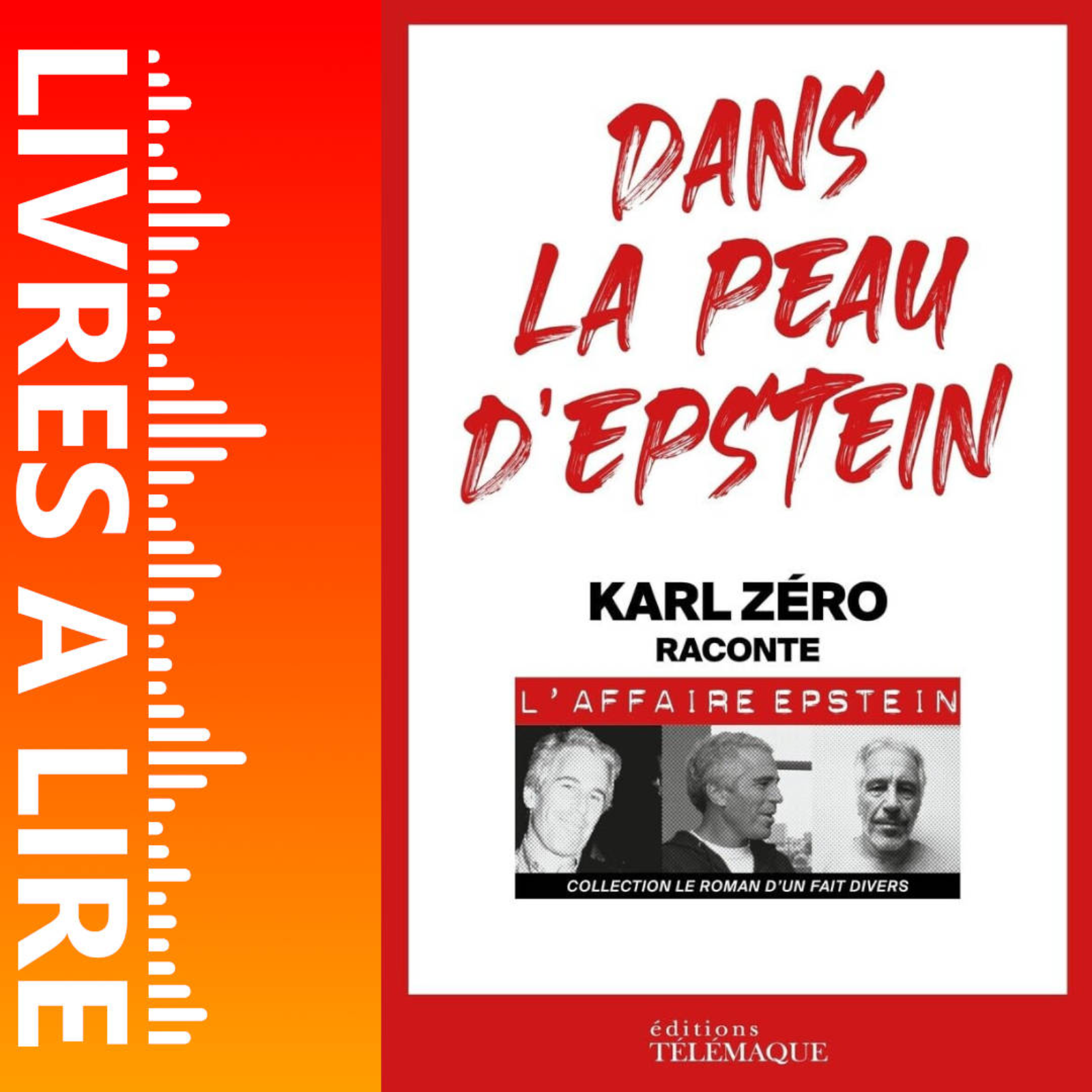 Dans la peau d'Epstein de Karl Zéro - Livre - Résumé et analyse episode artwork