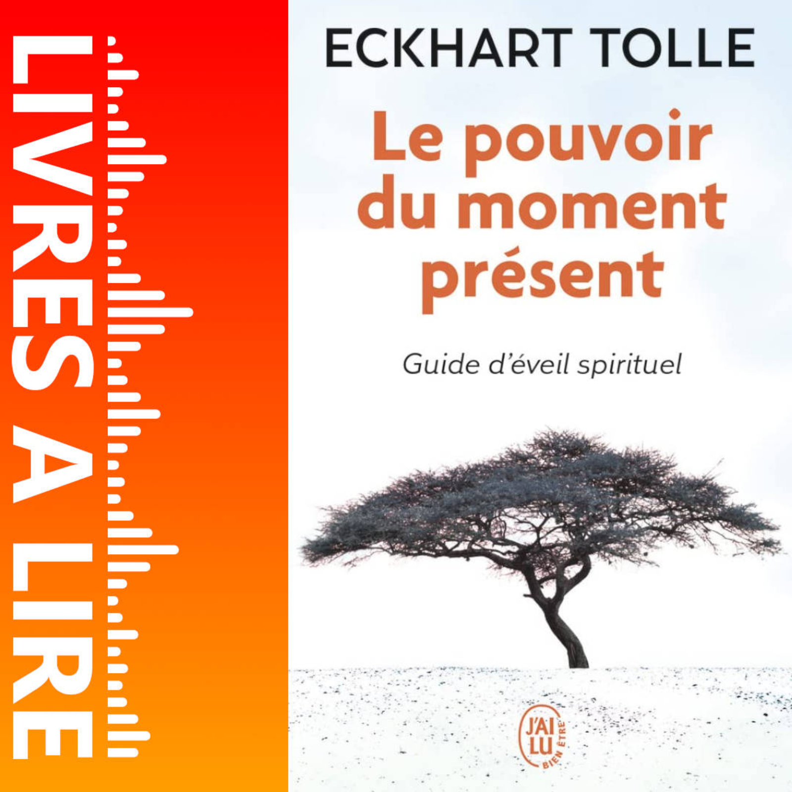 Le pouvoir du moment présent de Eckhart Tolle - Livre - Résumé et analyse episode artwork