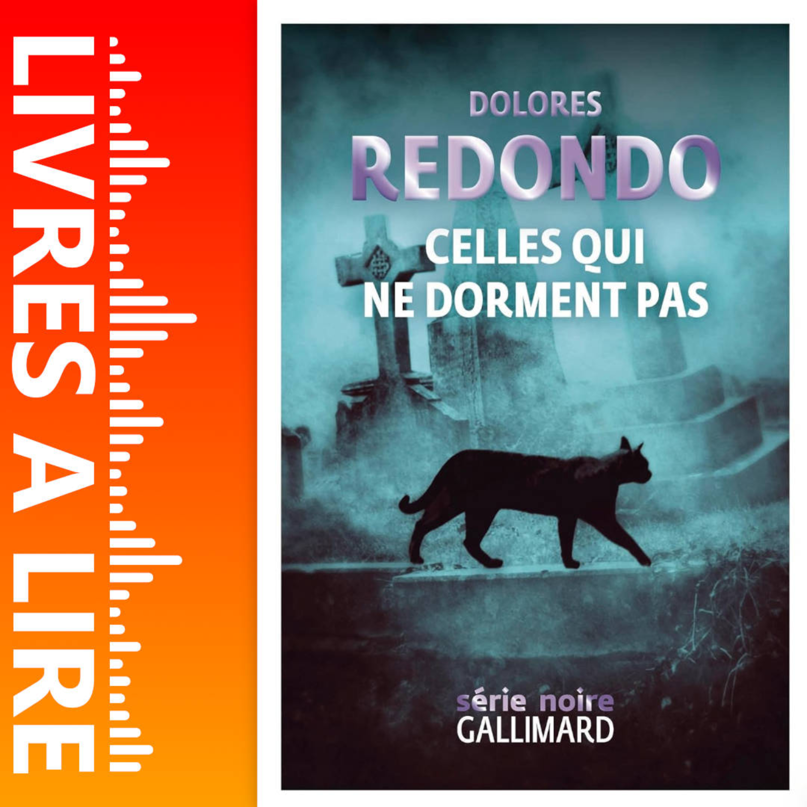 Celles qui ne dorment pas de Dolores Redondo - Livre - Résumé et analyse episode artwork