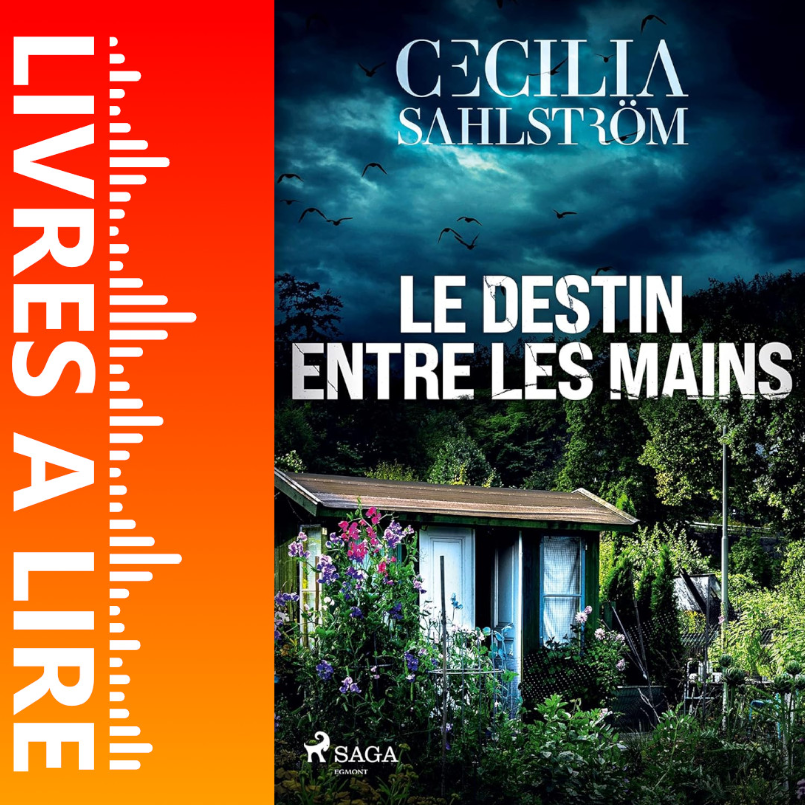 Le Destin entre les mains de Cecilia Sahlström - Livre - Résumé et analyse episode artwork