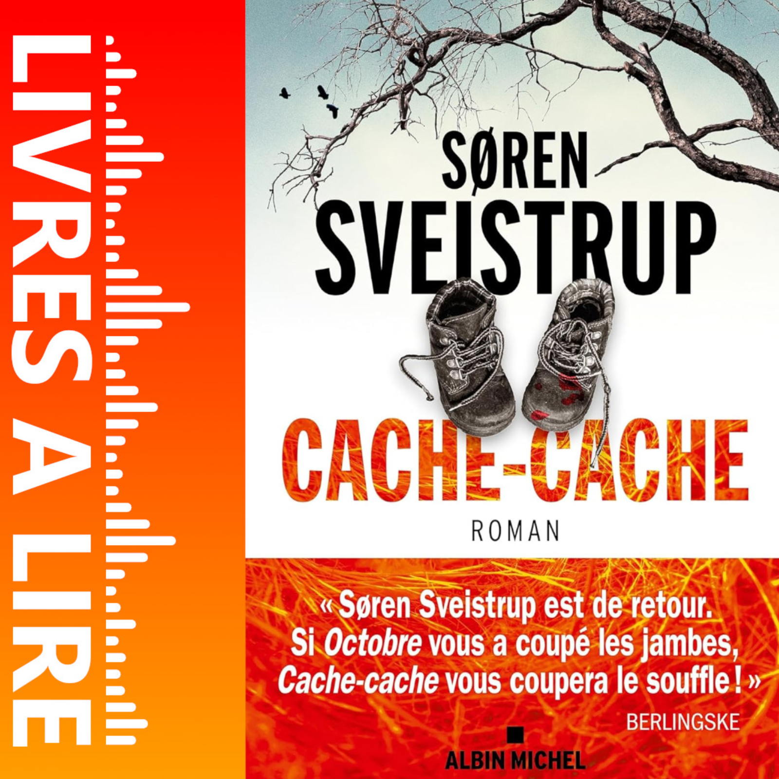Cache-Cache de Søren Sveistrup - Livre - Résumé et analyse episode artwork