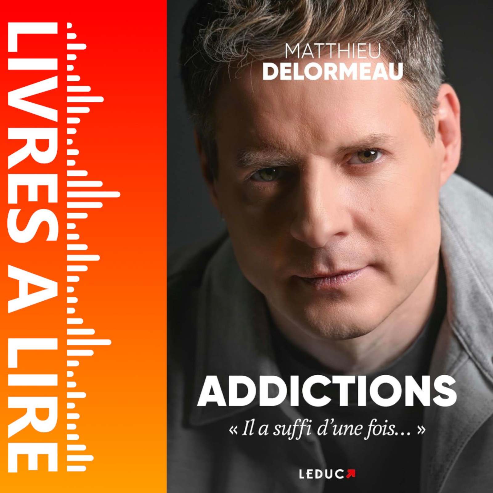 Addictions : ''Il a suffi d’une fois…'' de Matthieu Delormeau - Livre - Résumé et analyse episode artwork