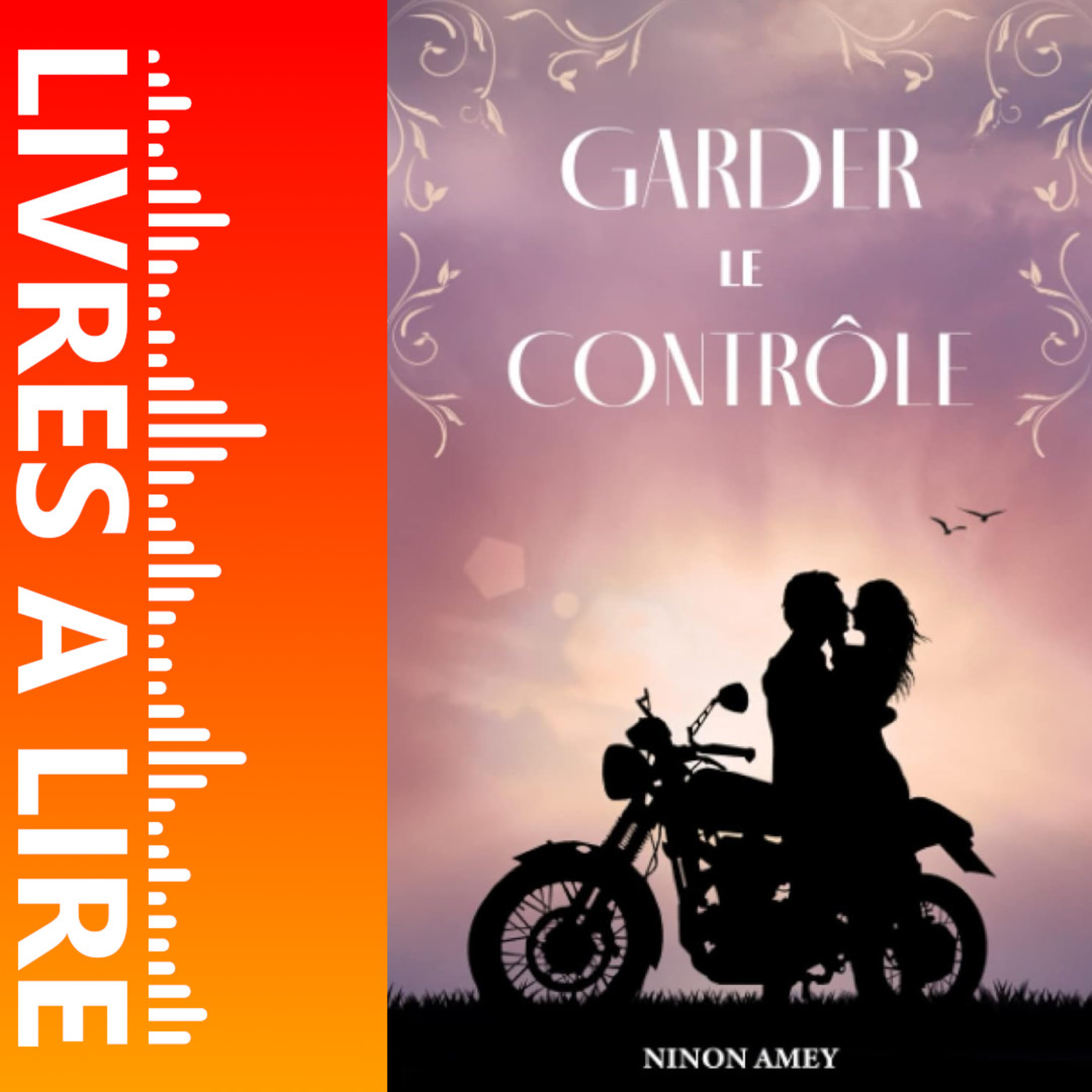 Garder le contrôle : Les liens du cœur (Tome 1) de Ninon Amey - Livre - Résumé et analyse episode artwork