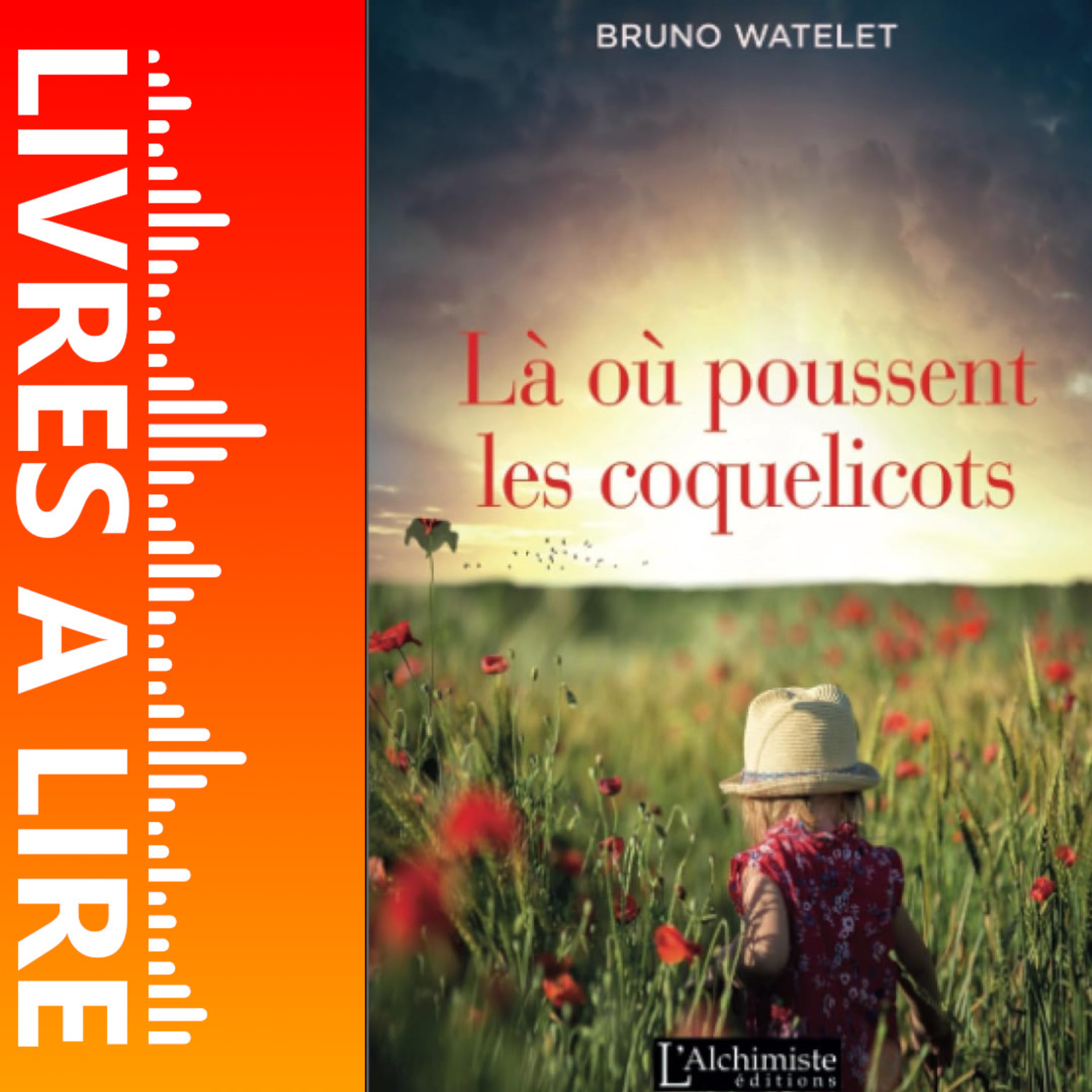 Là où poussent les coquelicots de Bruno Watelet - Livre - Résumé et analyse episode artwork
