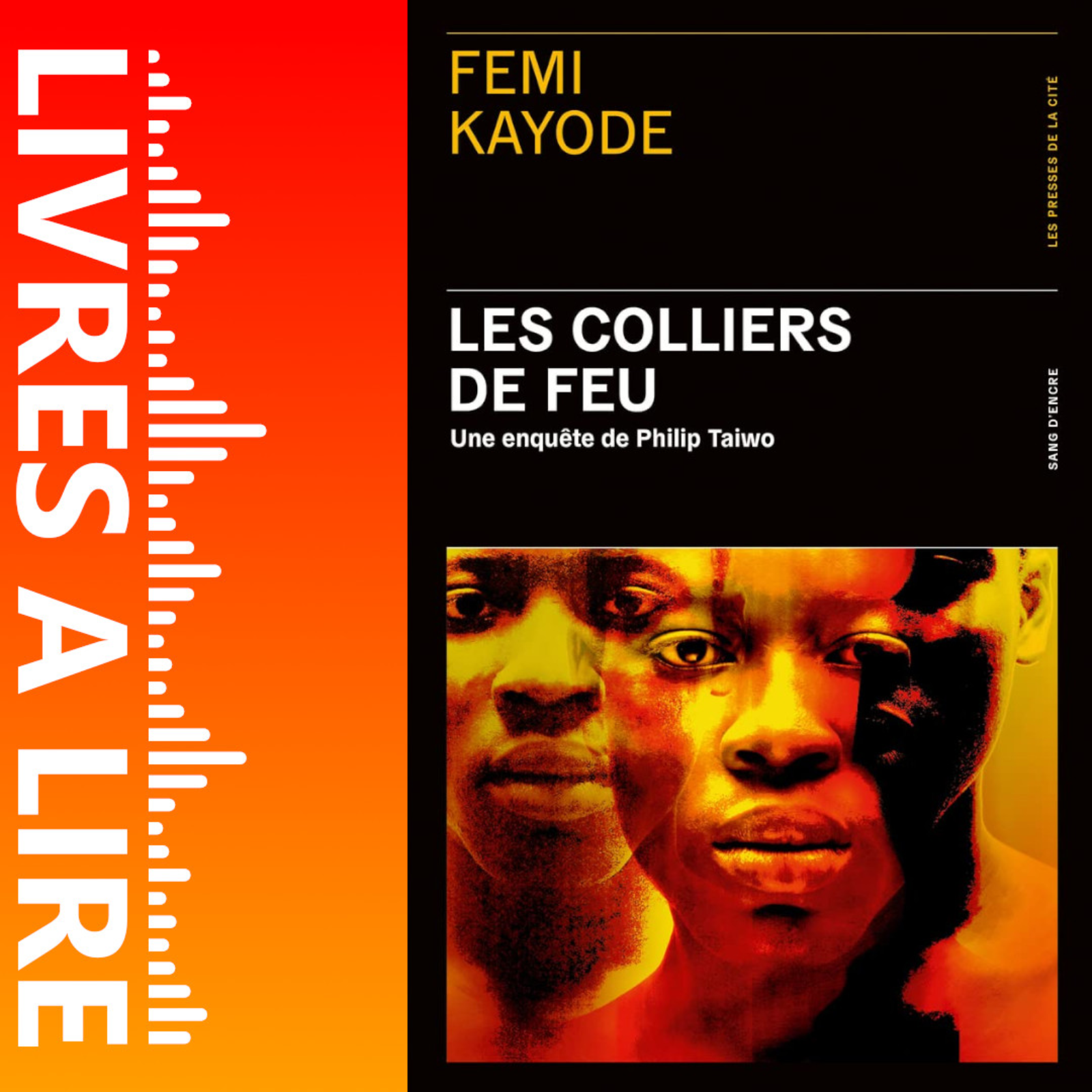 Les Colliers de feu de Femi Kayode - Livre - Résumé et analyse episode artwork