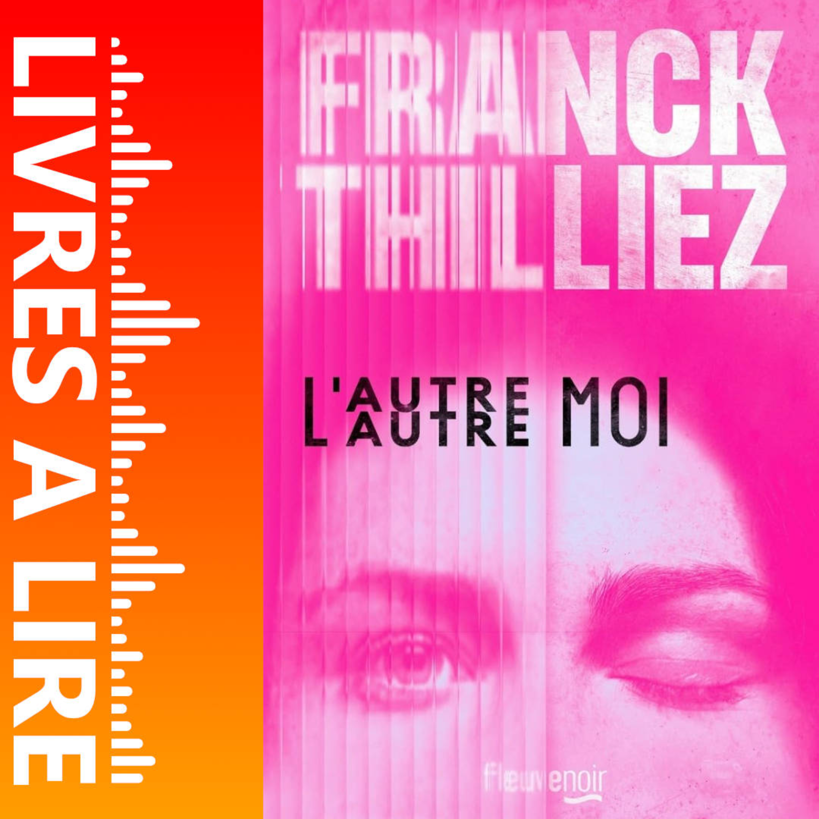 L'Autre moi de Franck Thilliez - Livre - Résumé et analyse episode artwork