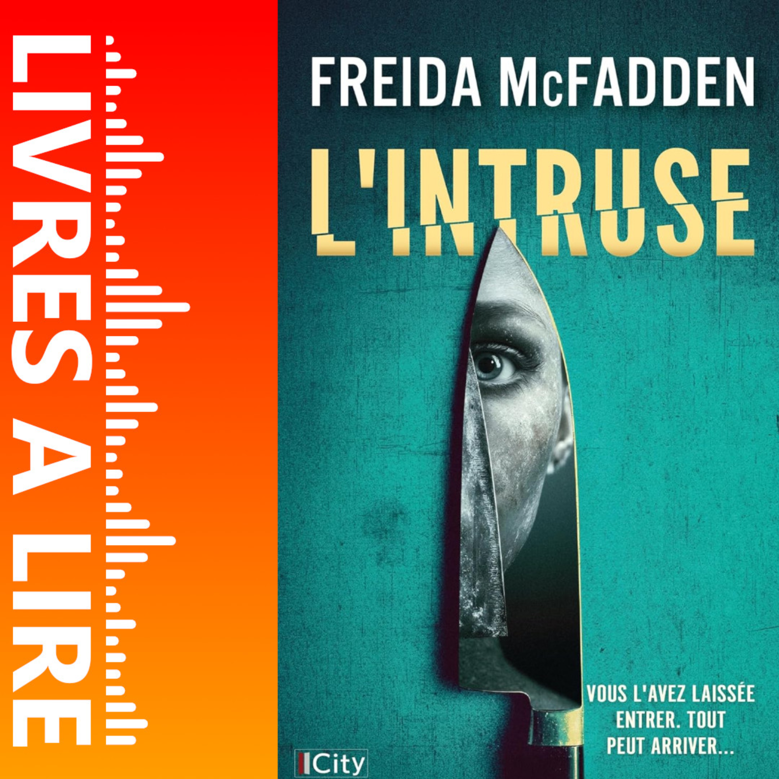 L'intruse de Freida McFadden - Livre - Résumé et analyse episode artwork