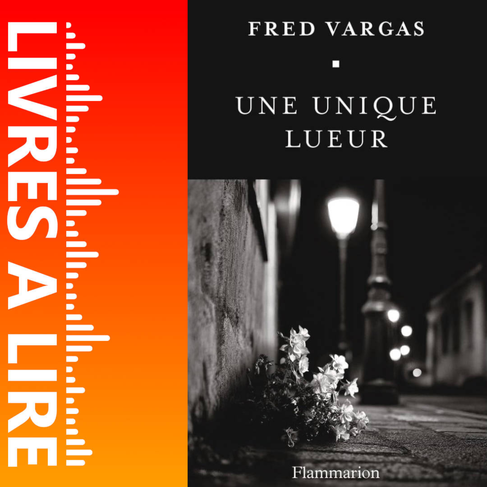 Une unique lueur de Fred Vargas - Livre - Résumé et analyse episode artwork