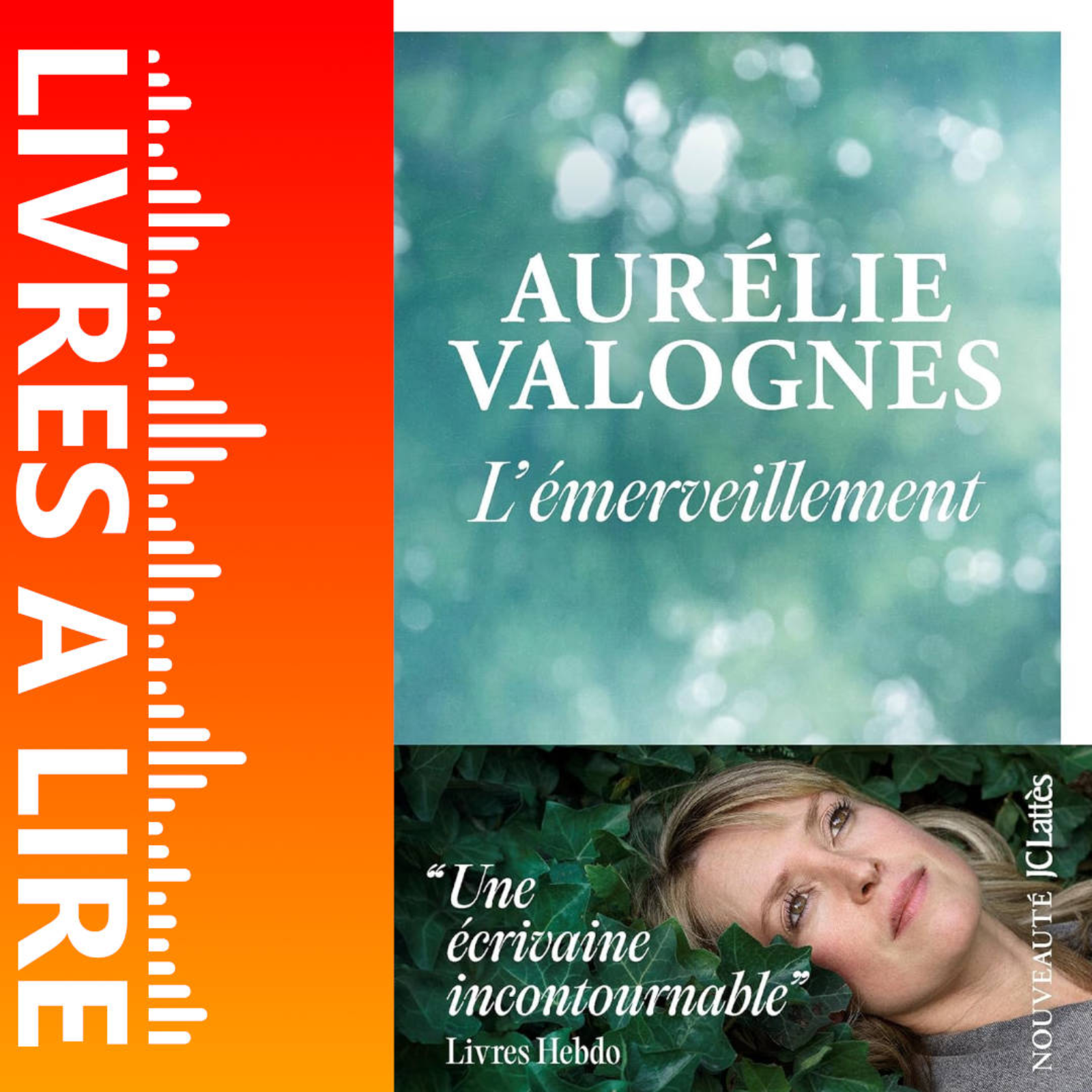 L'émerveillement de Aurélie Valognes - Livre - Résumé et analyse episode artwork