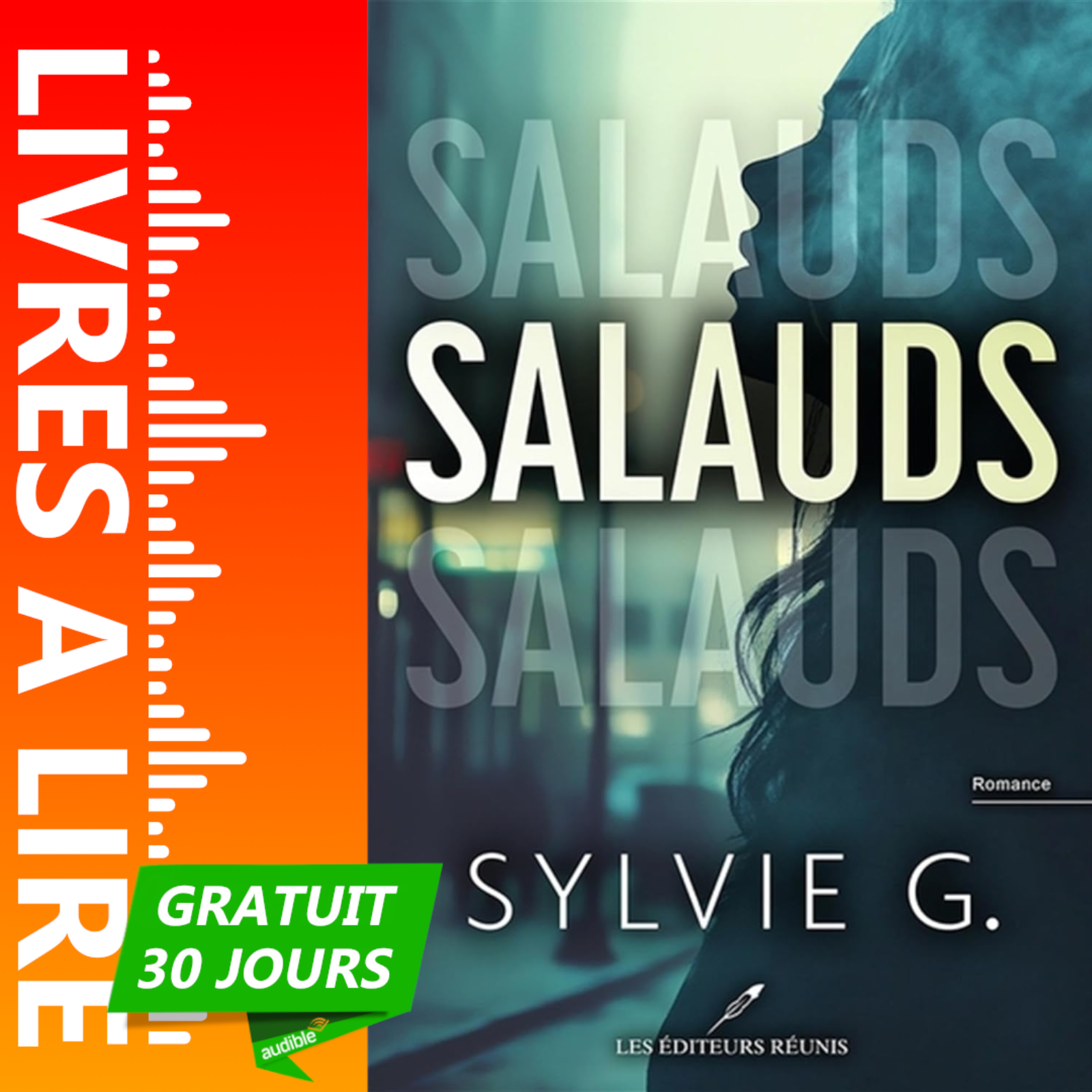 Salauds de Sylvie G - Le résumé du livre en 1 minute episode artwork