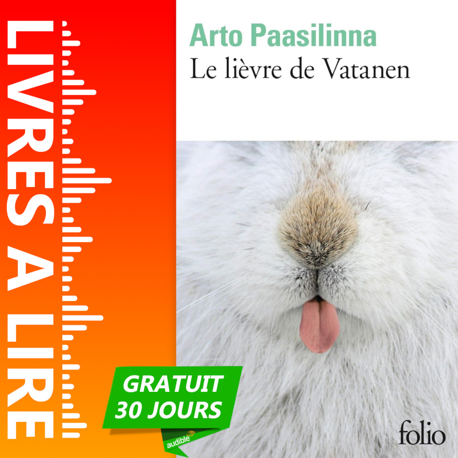 Le lièvre de Vatanen de Arto Paasilinna episode artwork