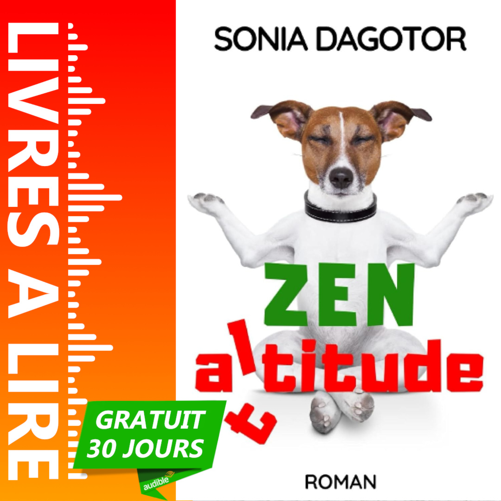 Zen Altitude de Sonia Dagotor episode artwork