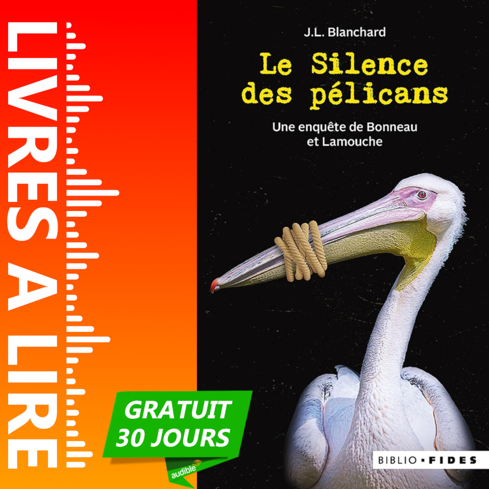 Le silence des pélicans de J.L. Blanchard episode artwork