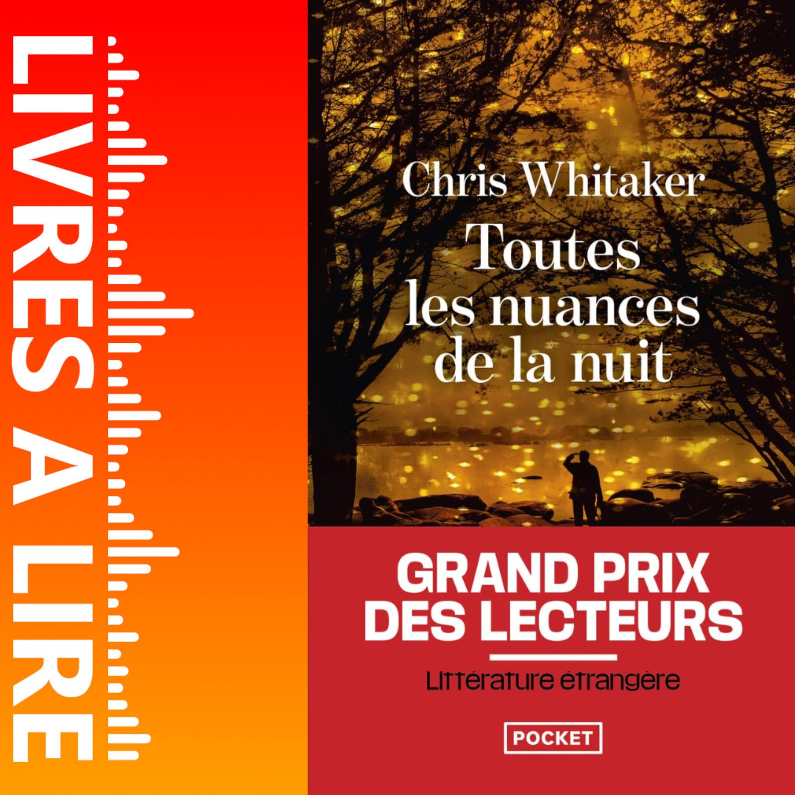 Toutes les nuances de la nuit de Chris Whitaker episode artwork