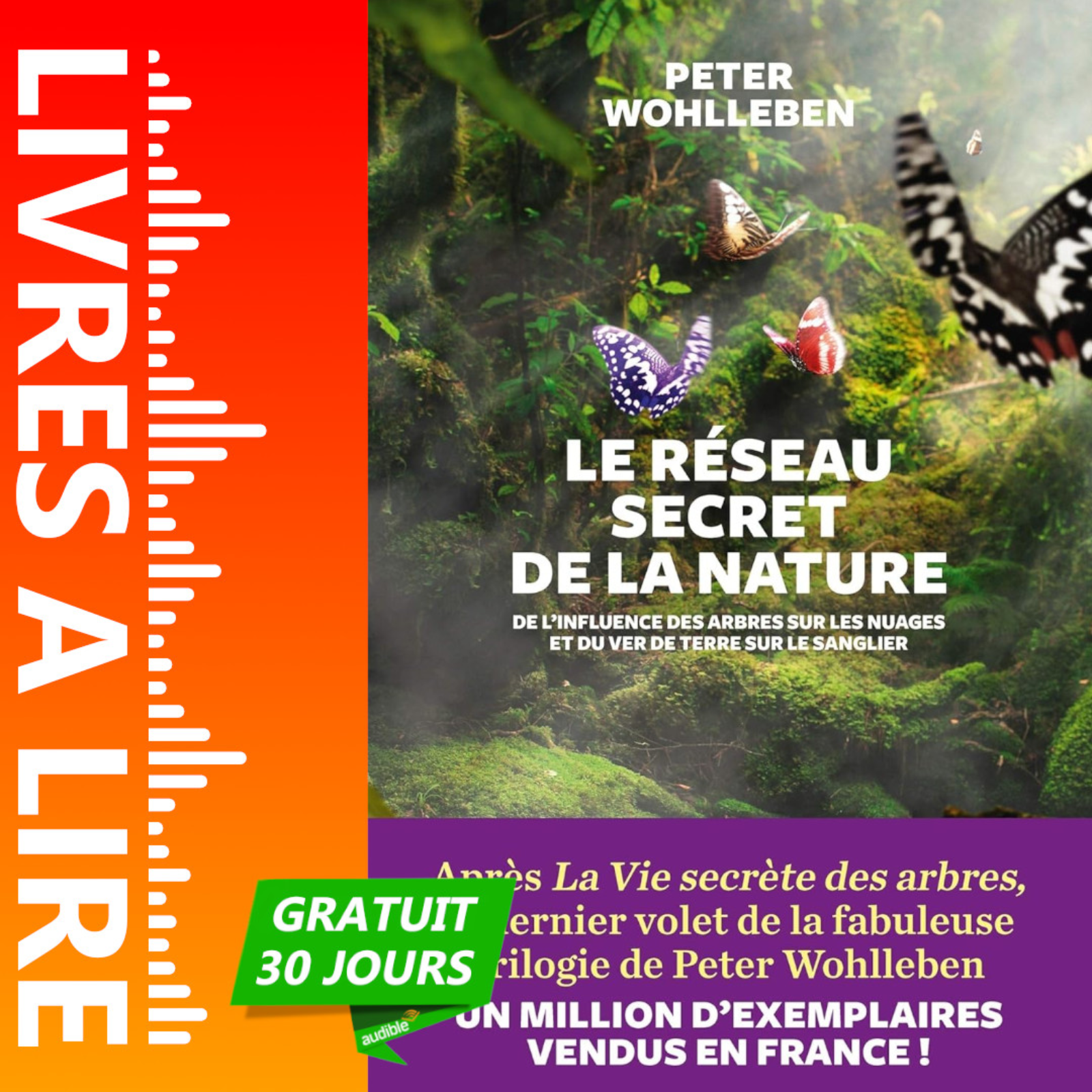Le Réseau secret de la nature - De l'influence des arbres sur les nuages et du ver de terre sur le sanglier de Peter Wohlleben episode artwork