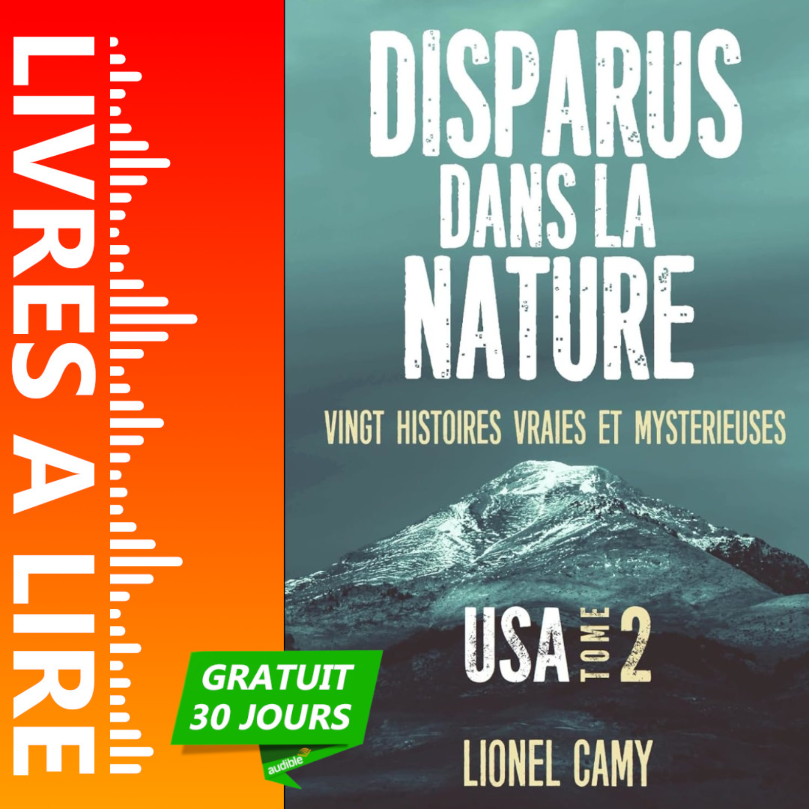 Disparus dans la nature - Vingt histoires vraies et mystérieuses - USA 2 de Lionel Camy episode artwork