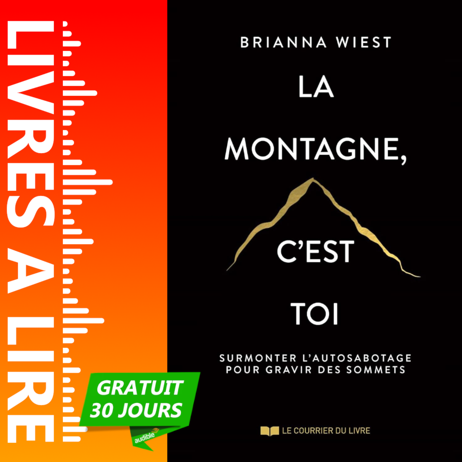 La montagne, c'est toi de Brianna Wiest - Résumé et Analyse du livre episode artwork