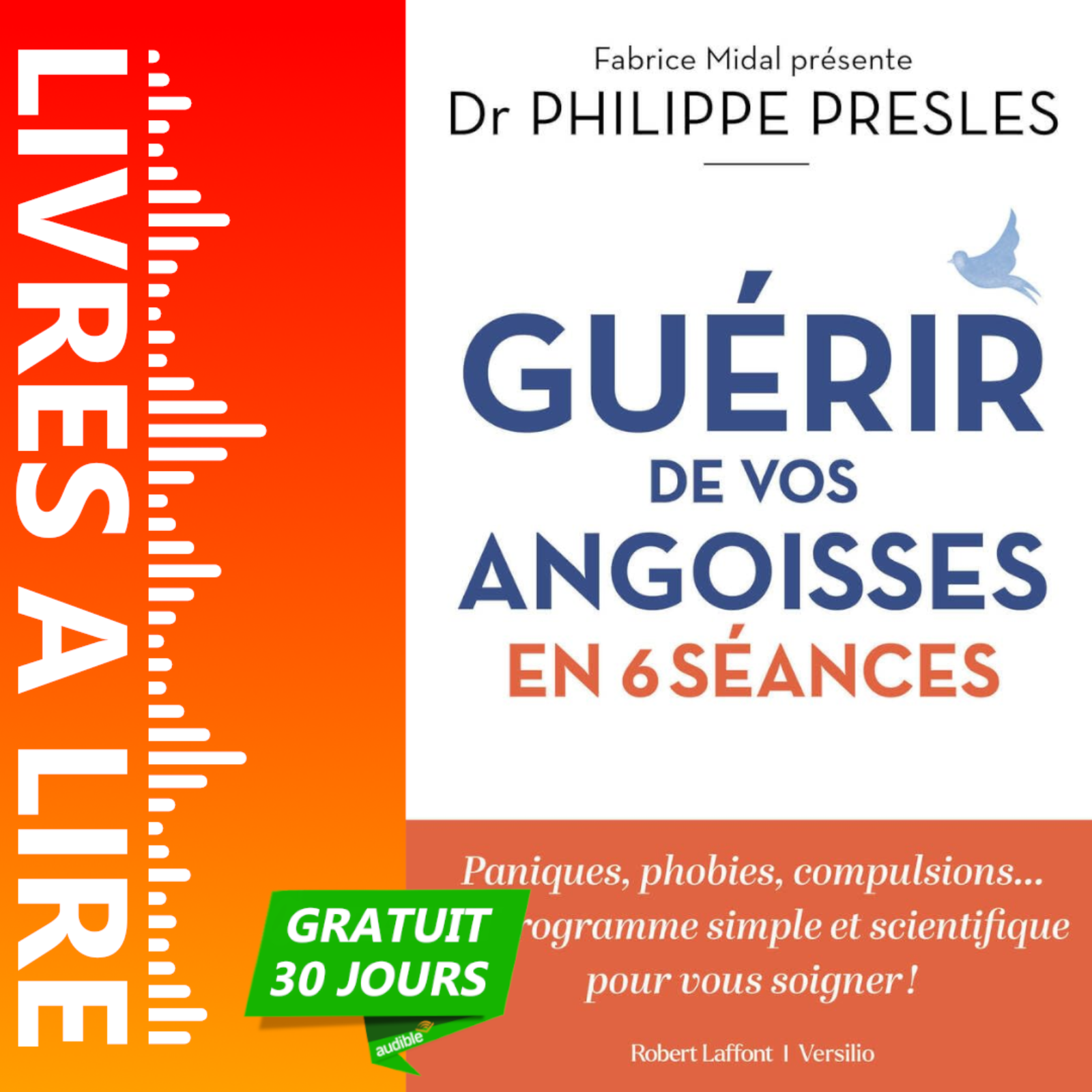 Guérir de vos angoisses en 6 séances de Philippe Presles - Résumé et Analyse du livre episode artwork