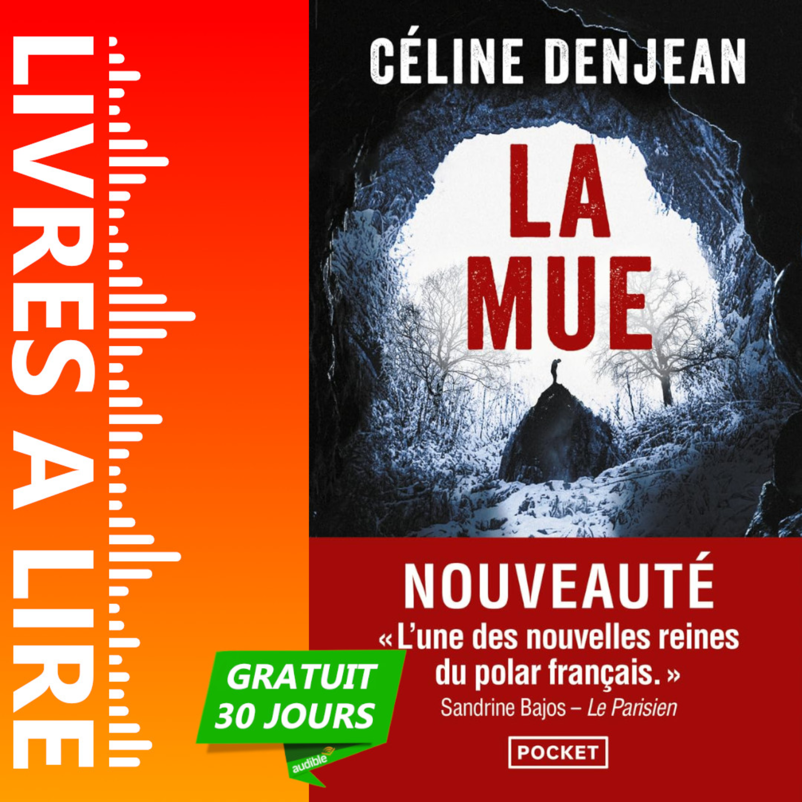 La Mue de Céline Denjean - Avis, Résumé et Analyse du livre